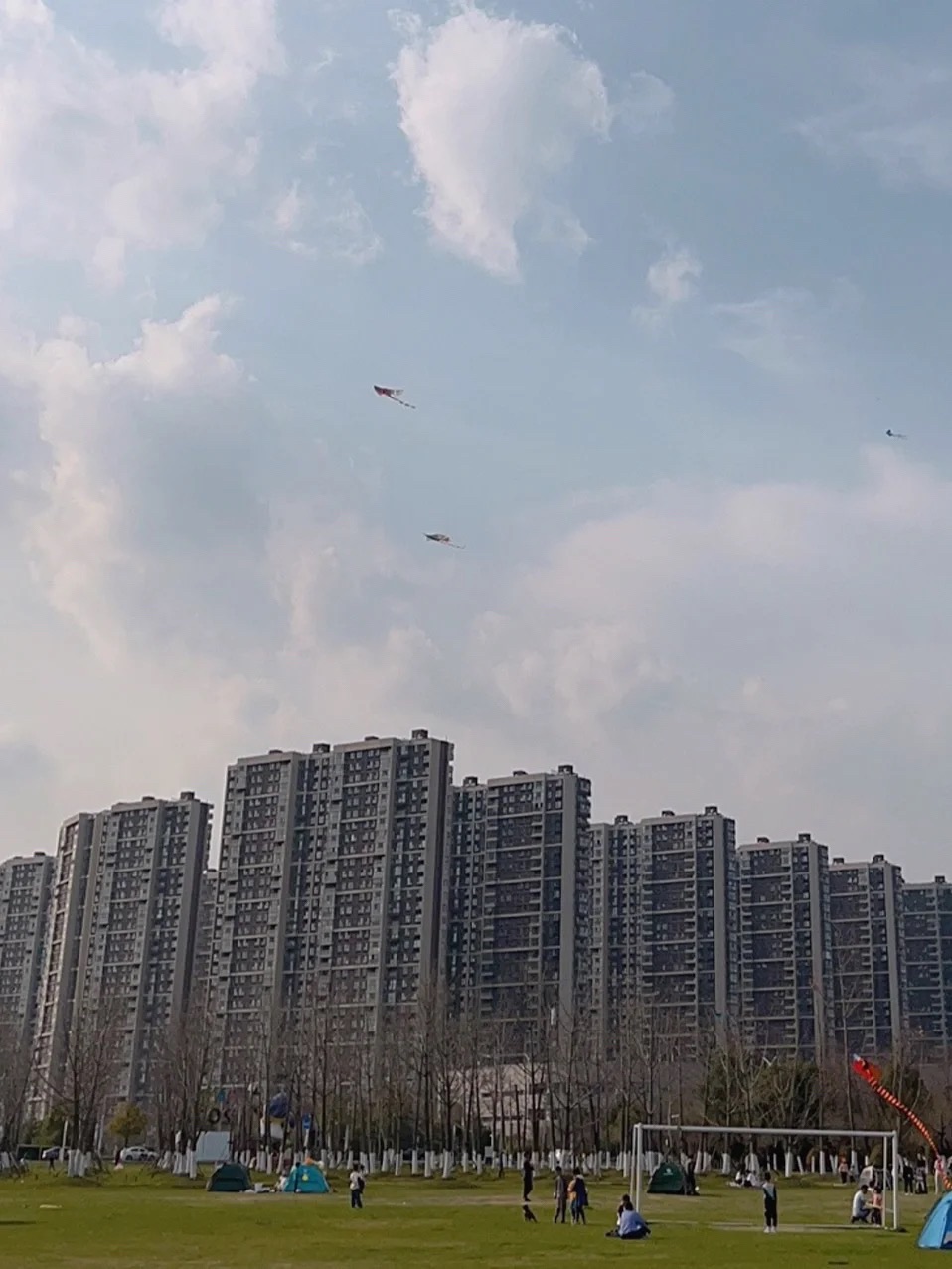 绿水湾湿地公园旅行图片 3