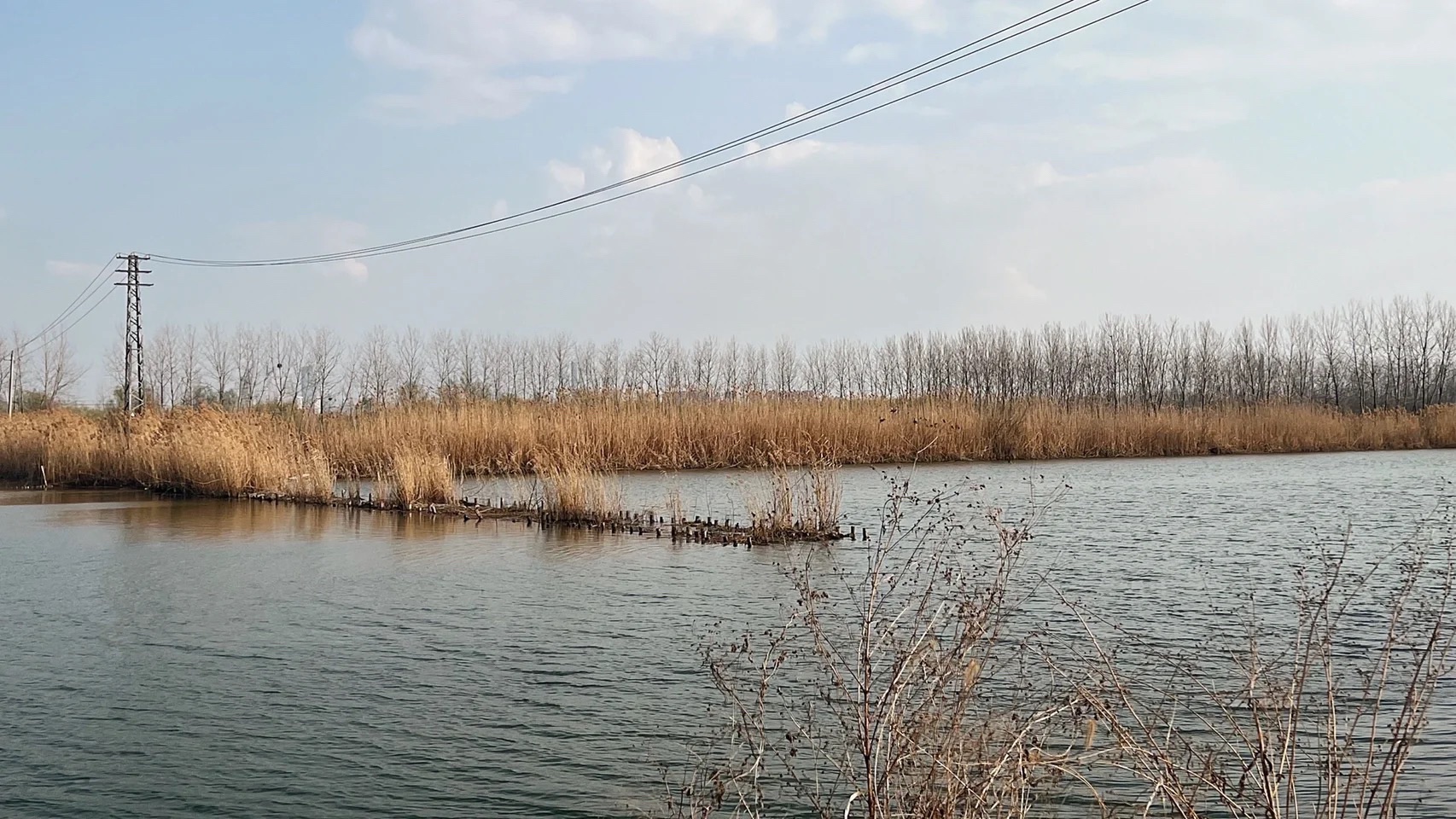 绿水湾湿地公园旅行图片 1
