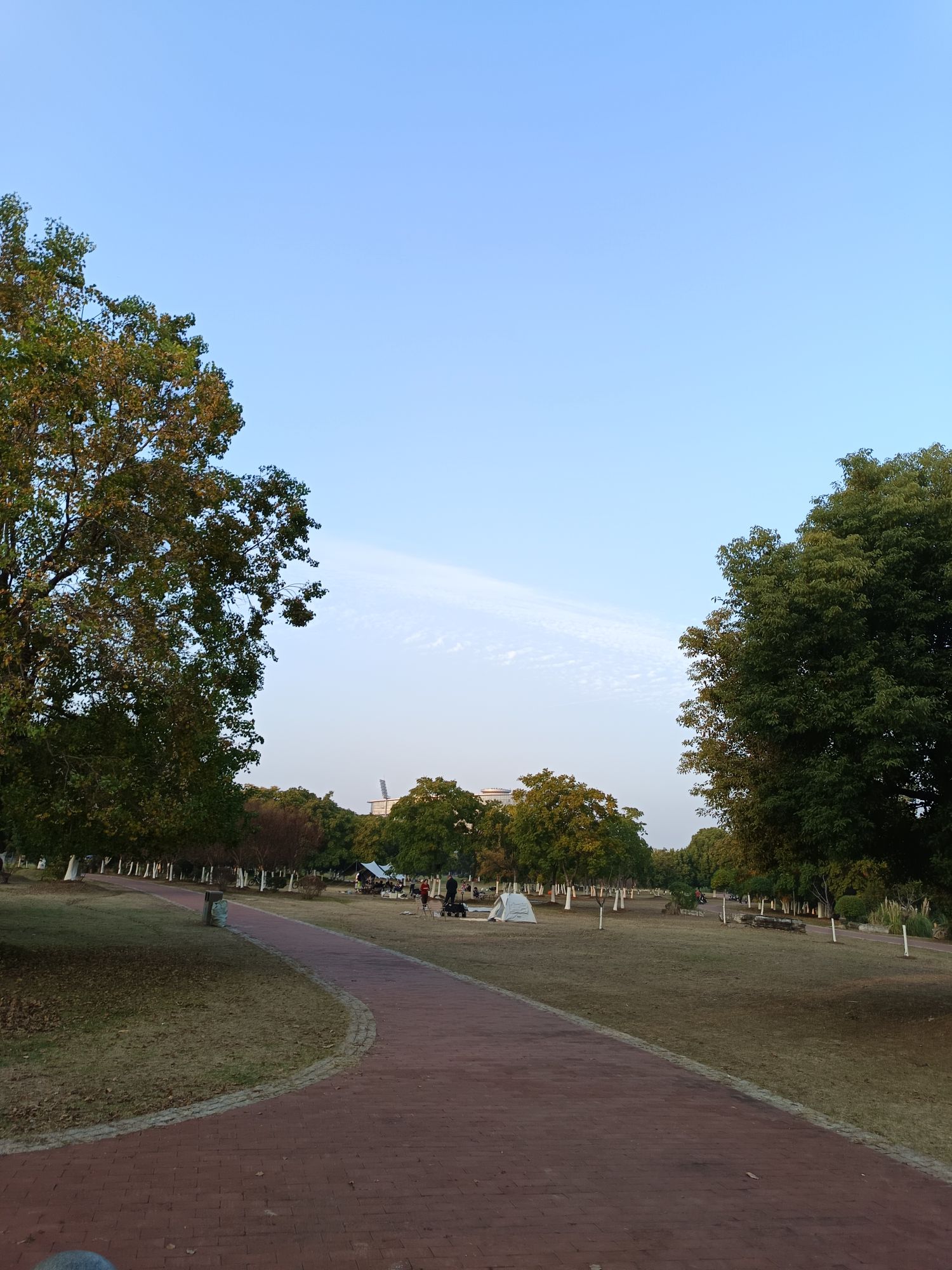 绿水湾湿地公园旅行图片 1