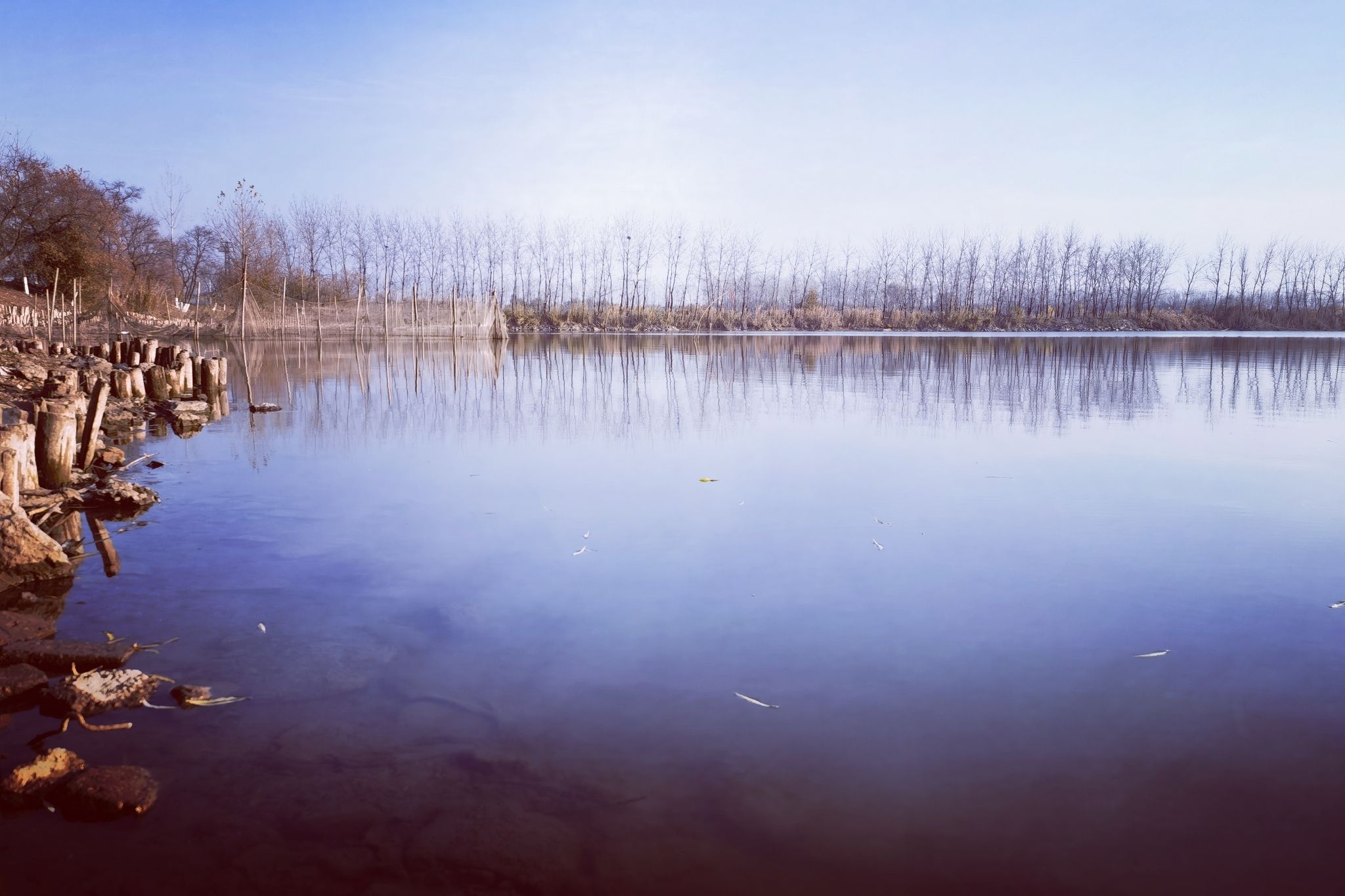 绿水湾湿地公园旅行图片 2