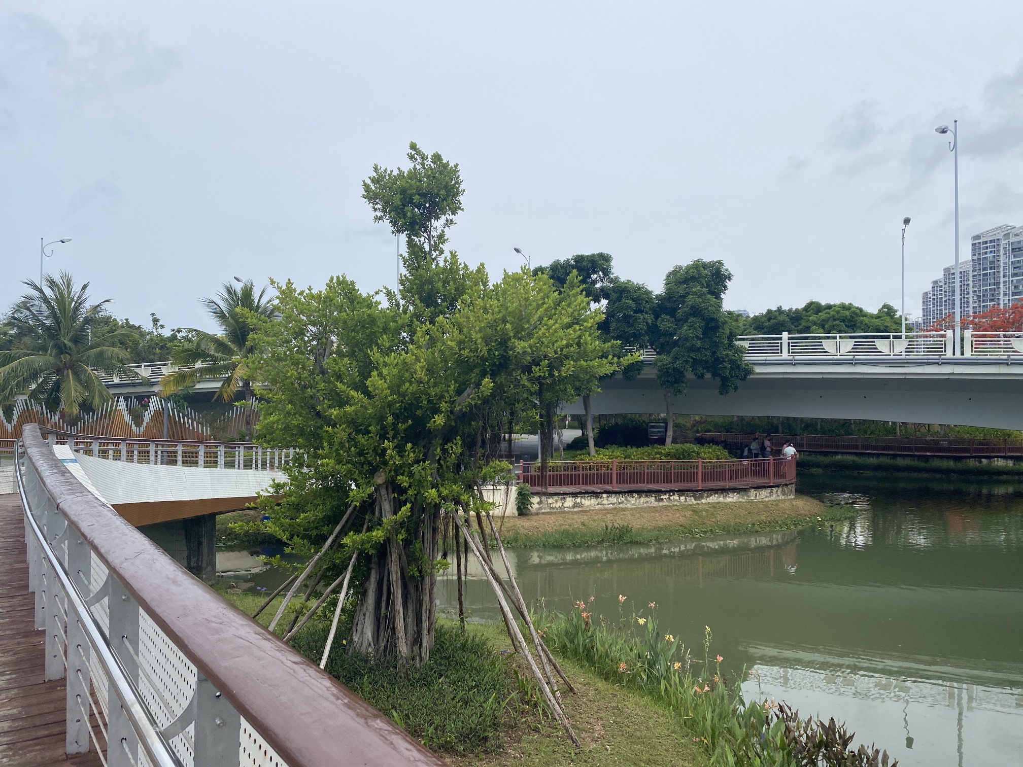 三亚市丰兴隆党群主题公园旅行图片 2