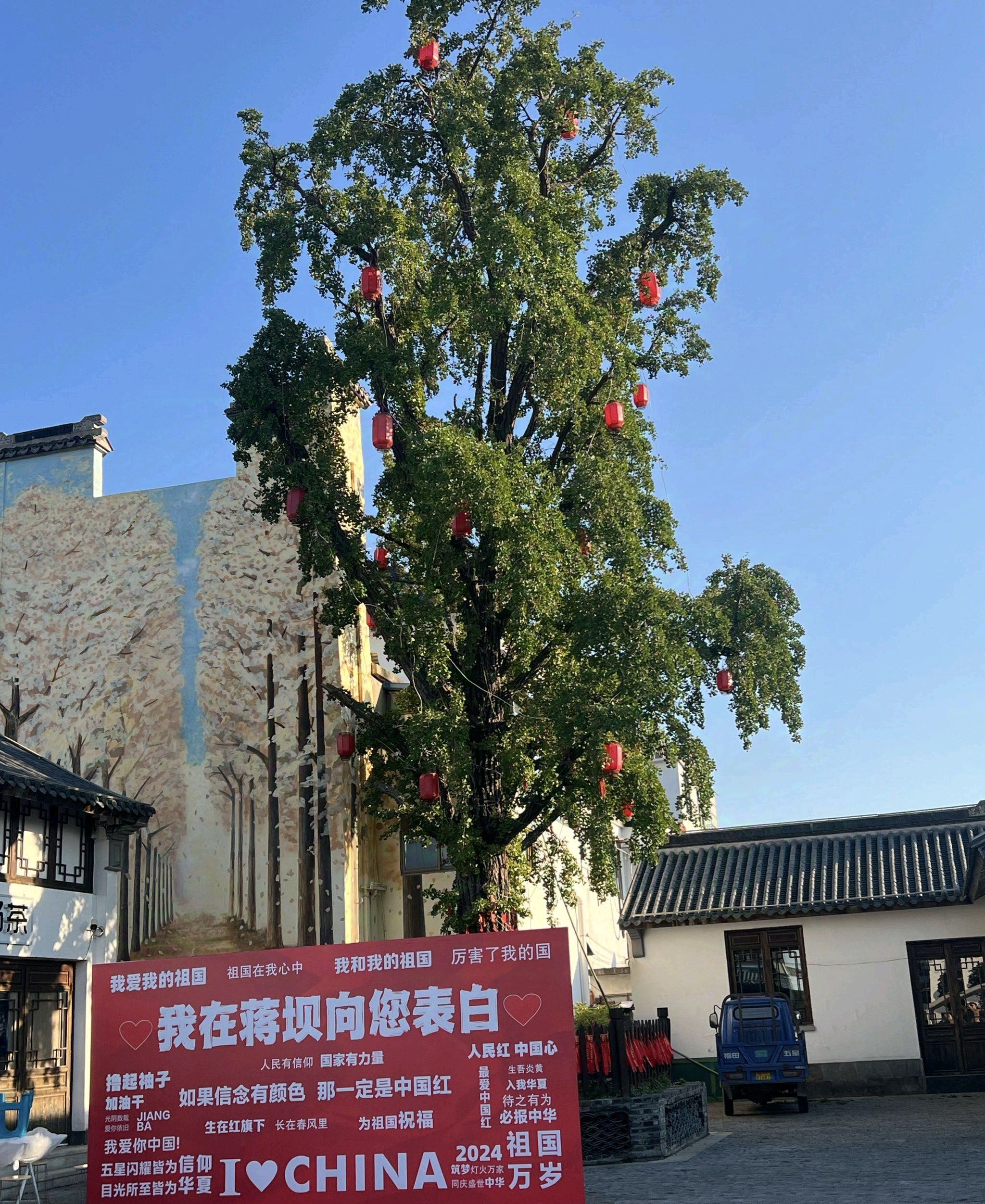 蒋坝古镇风景区旅行图片 2