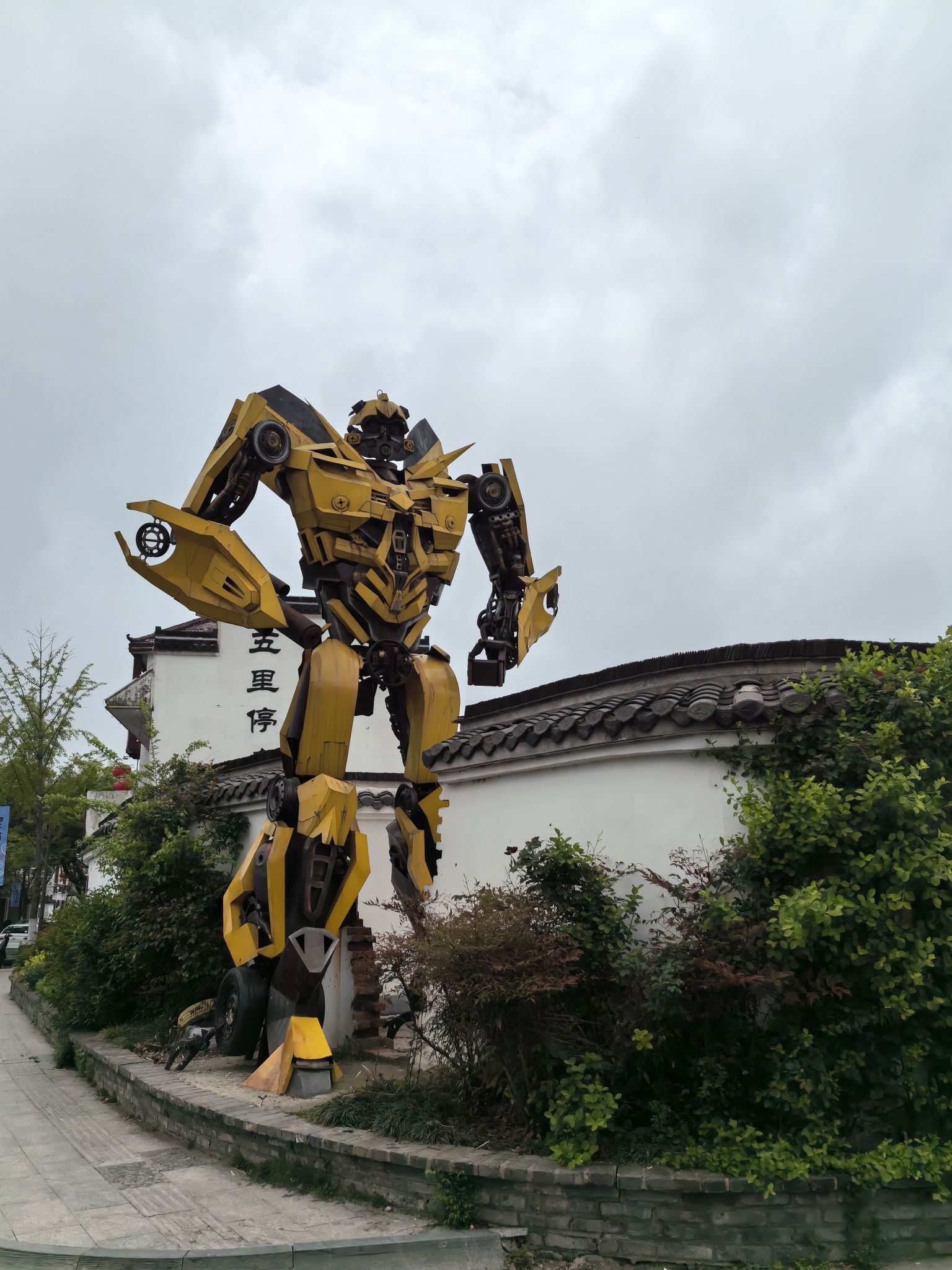 蒋坝古镇风景区旅行图片 1