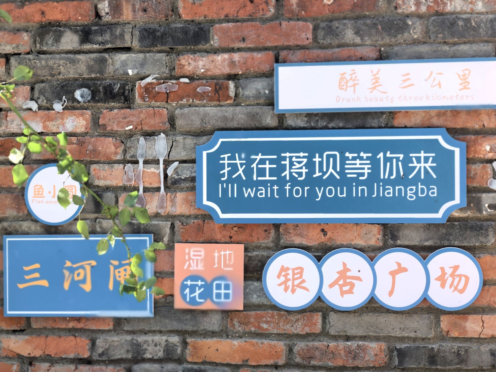 蒋坝古镇风景区旅行图片 1