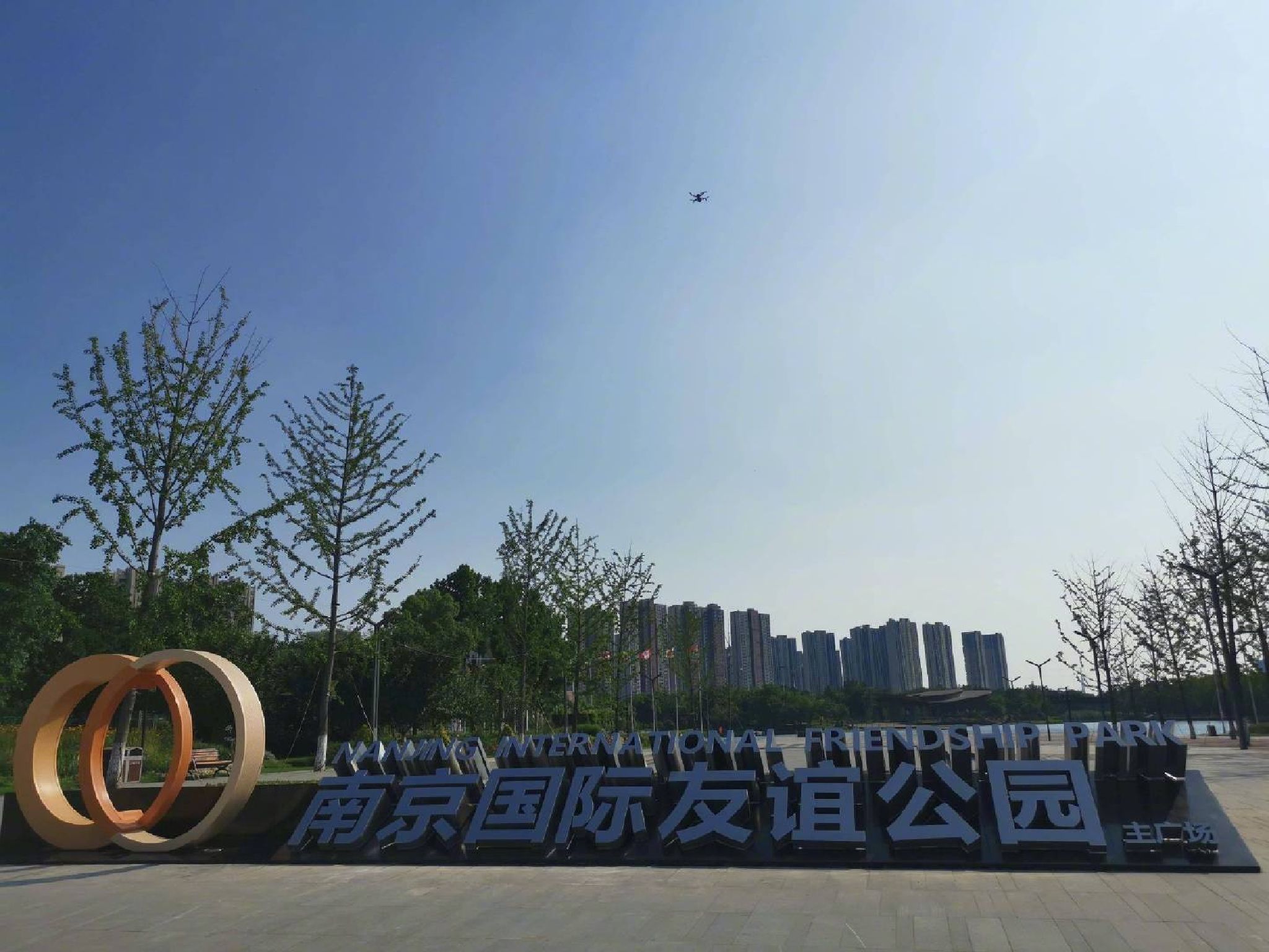 南京国际友谊公园旅行图片 1