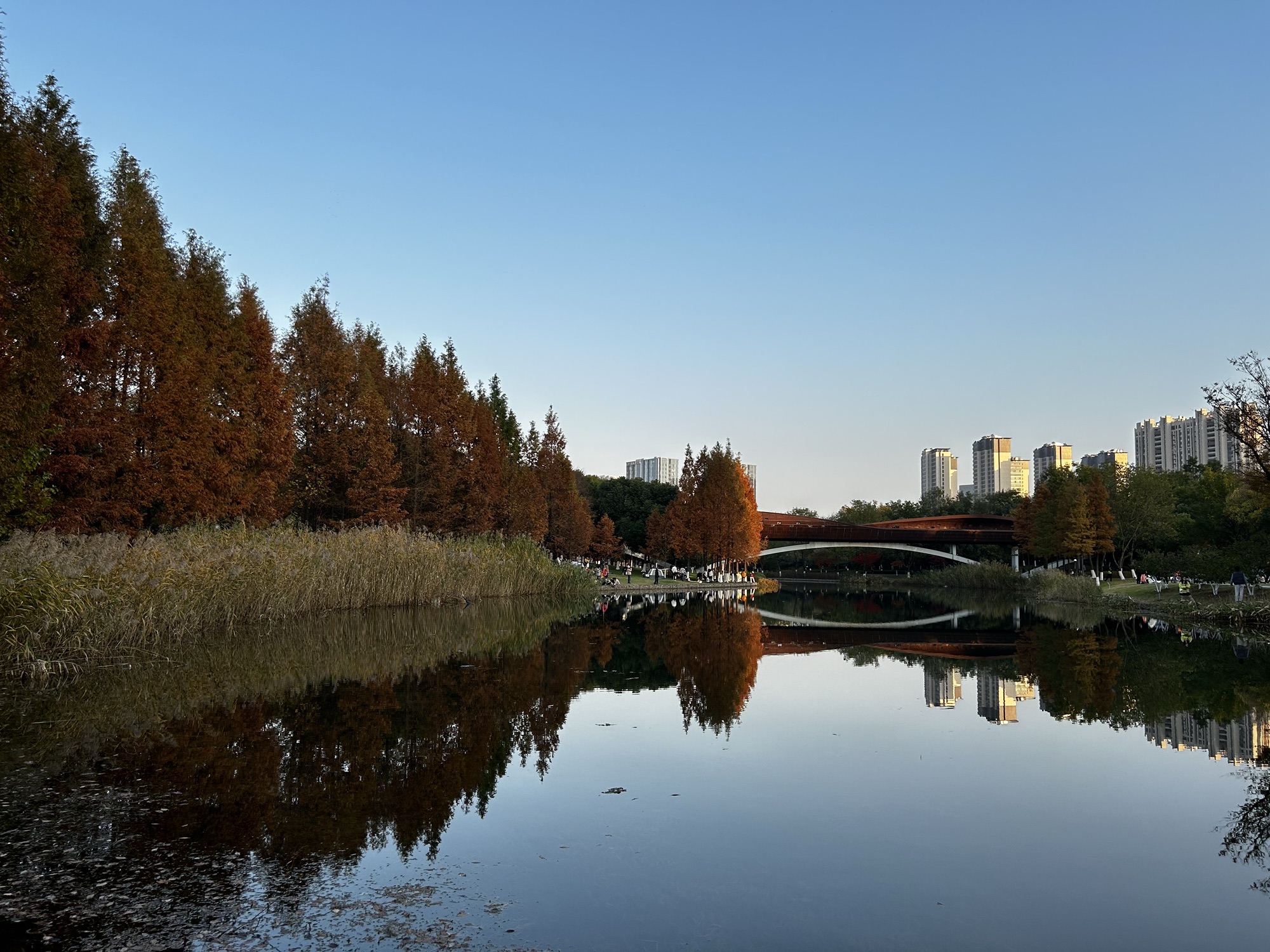 南京国际友谊公园旅行图片 1