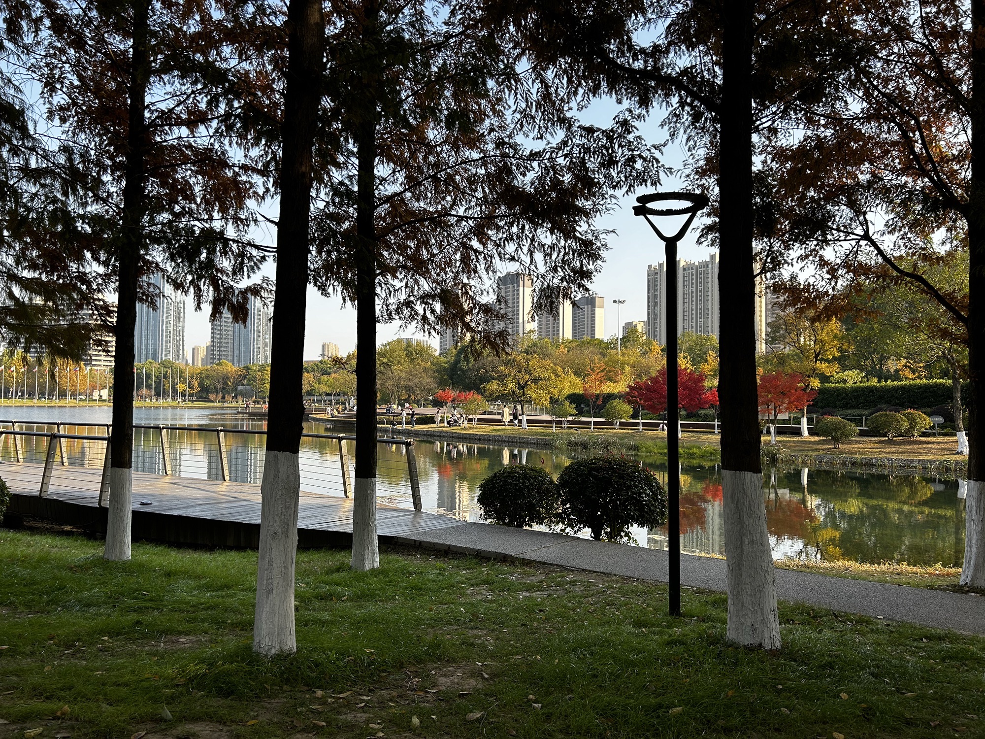 南京国际友谊公园旅行图片 2