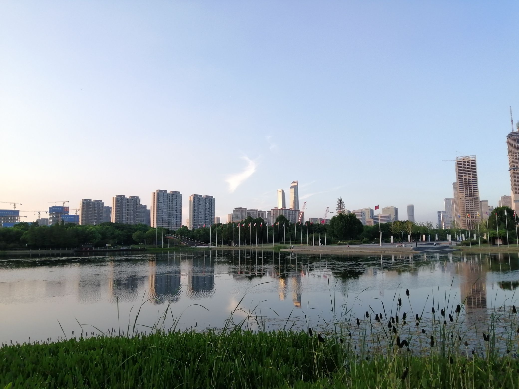 南京国际友谊公园旅行图片 1