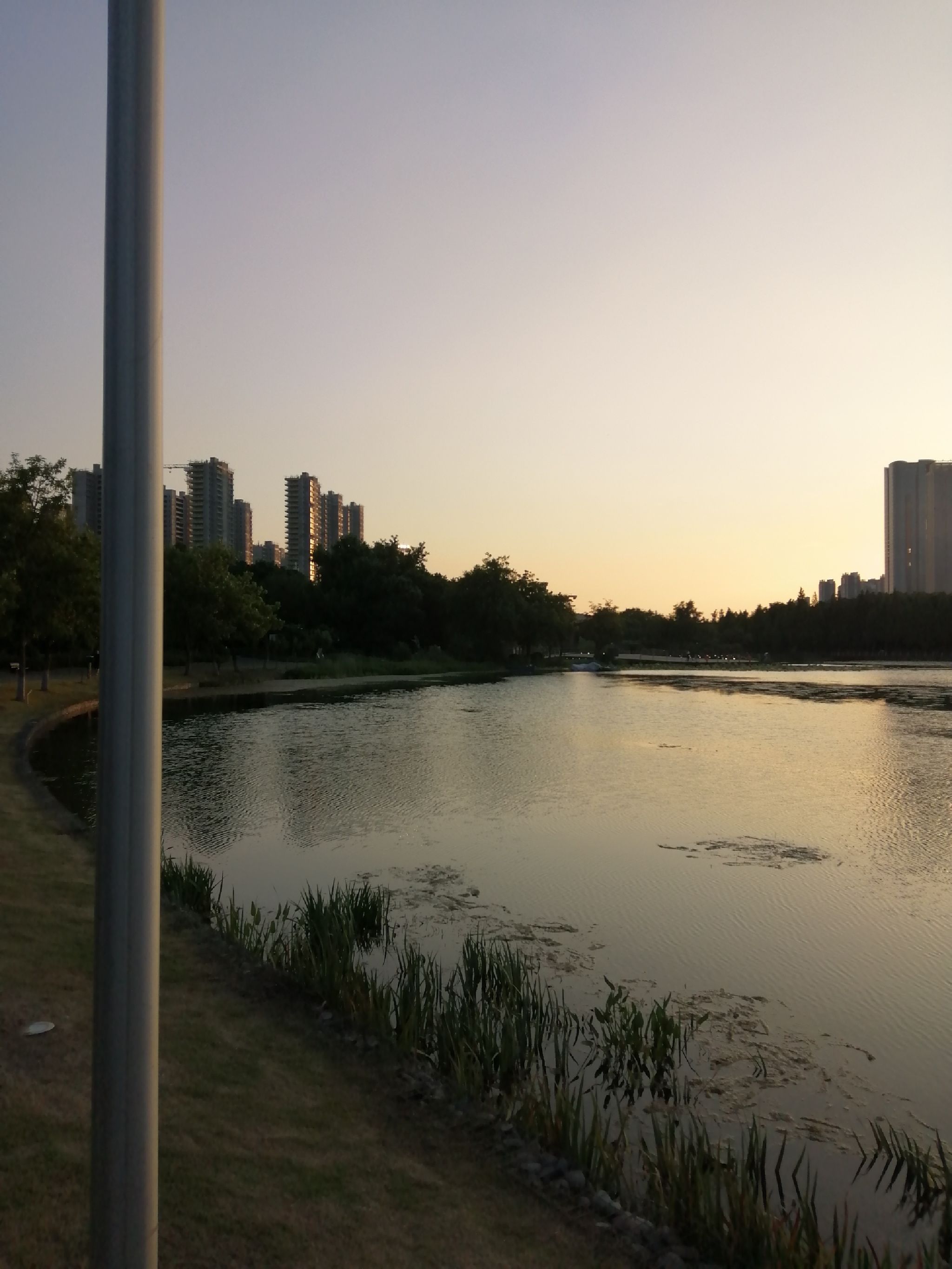 南京国际友谊公园旅行图片 3