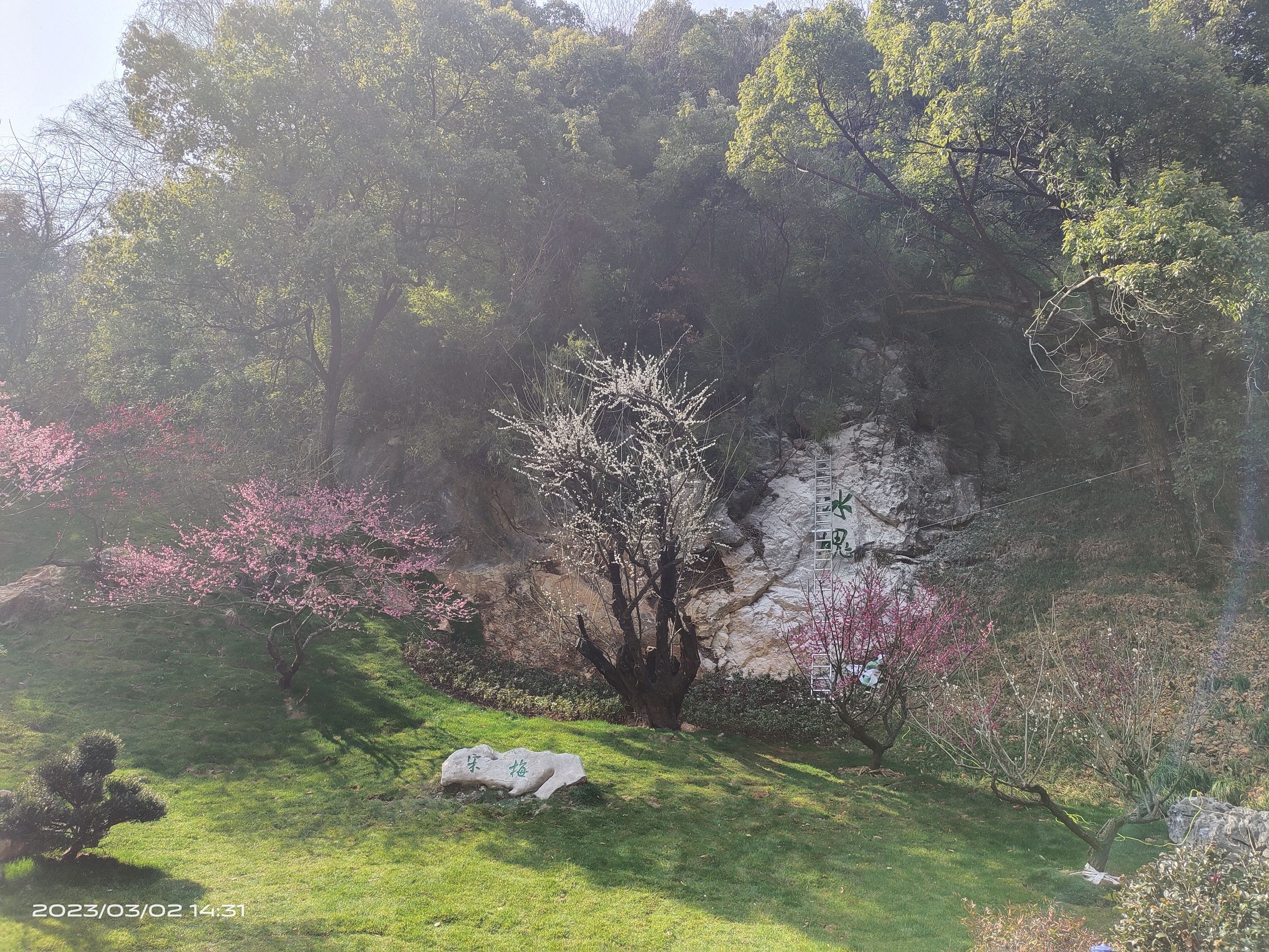 湖州太湖旅游度假区-小梅山景区
