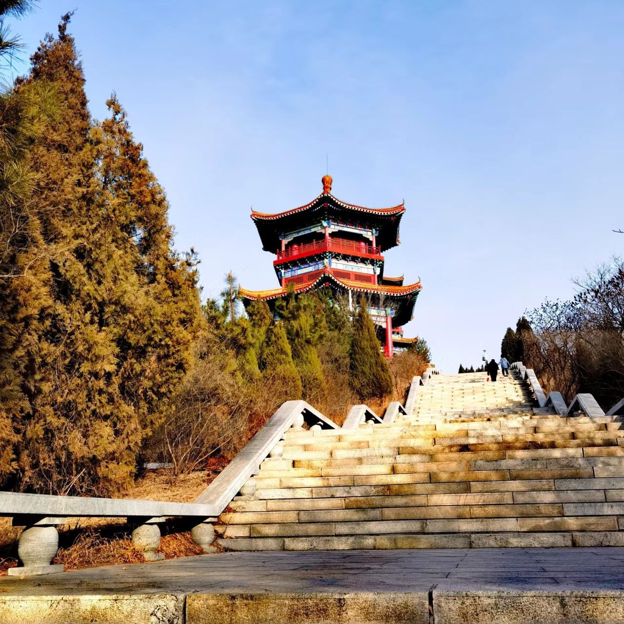 金凤阁旅行图片 1