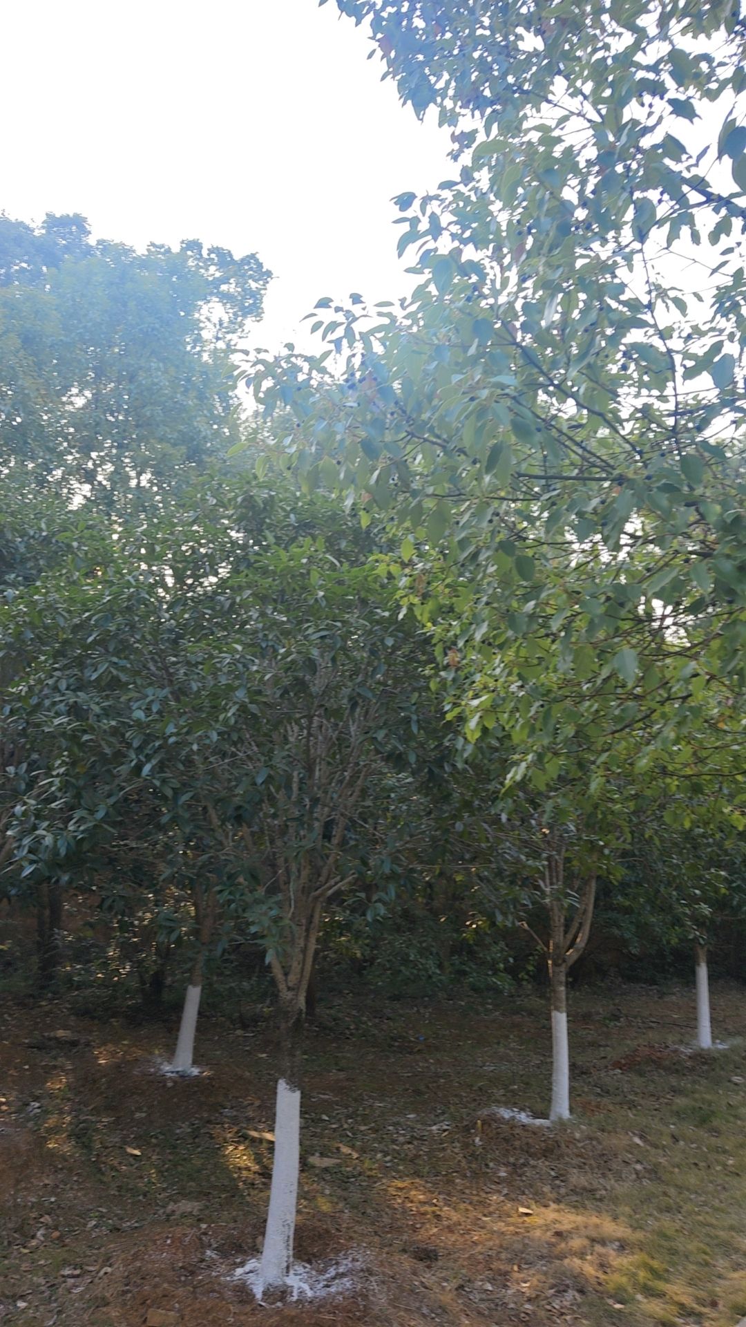 木鱼湖公园旅行图片 2