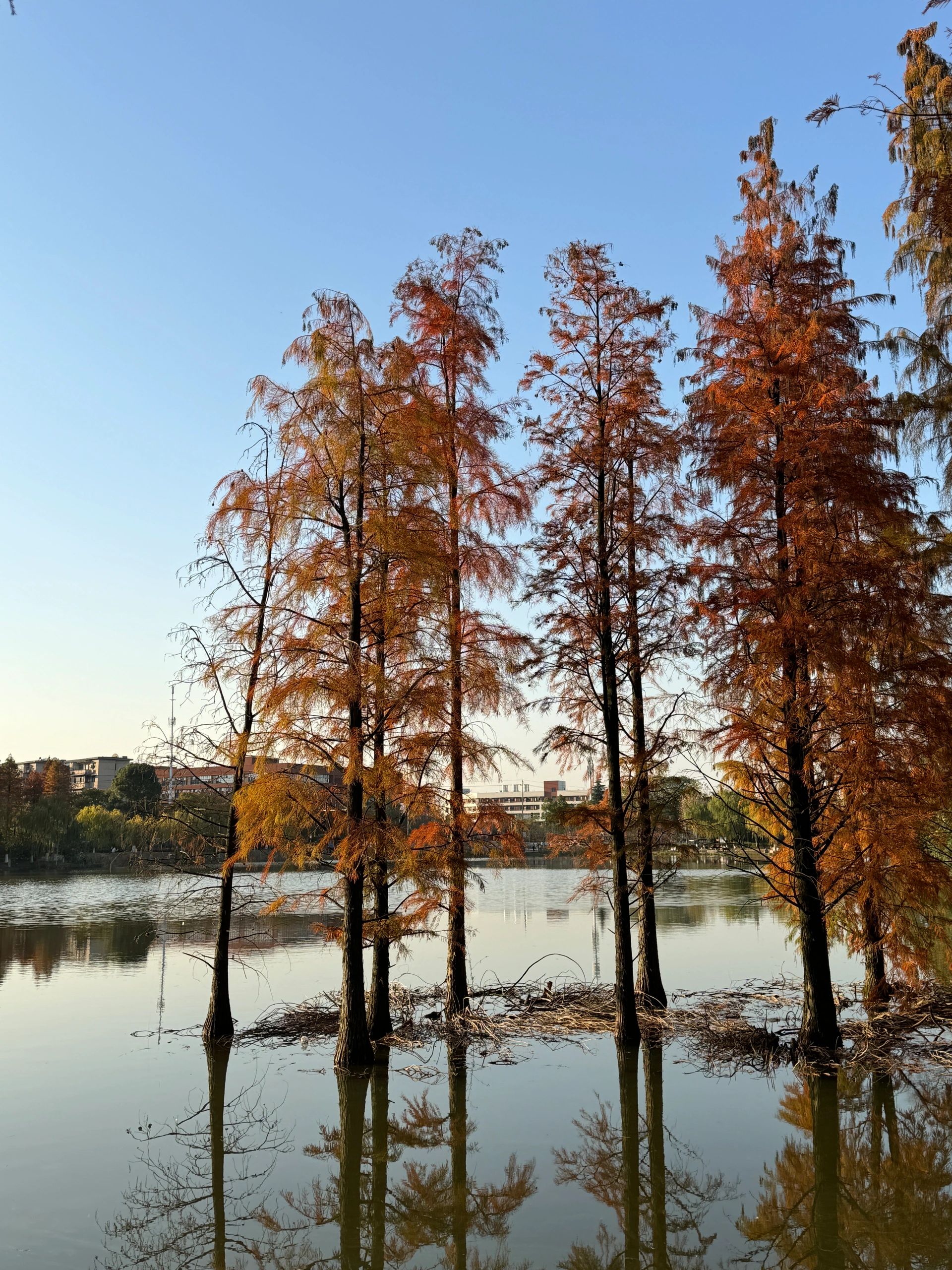 木鱼湖公园旅行图片 3