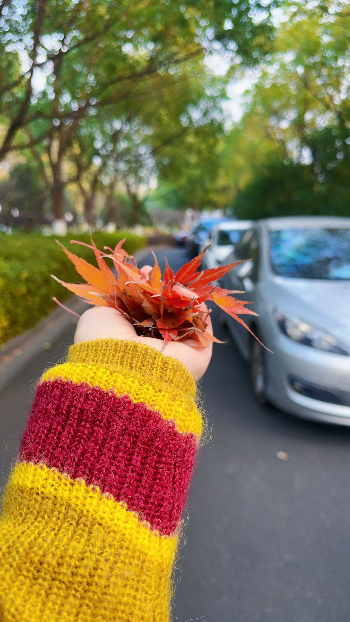 小茅山公园旅行图片 1