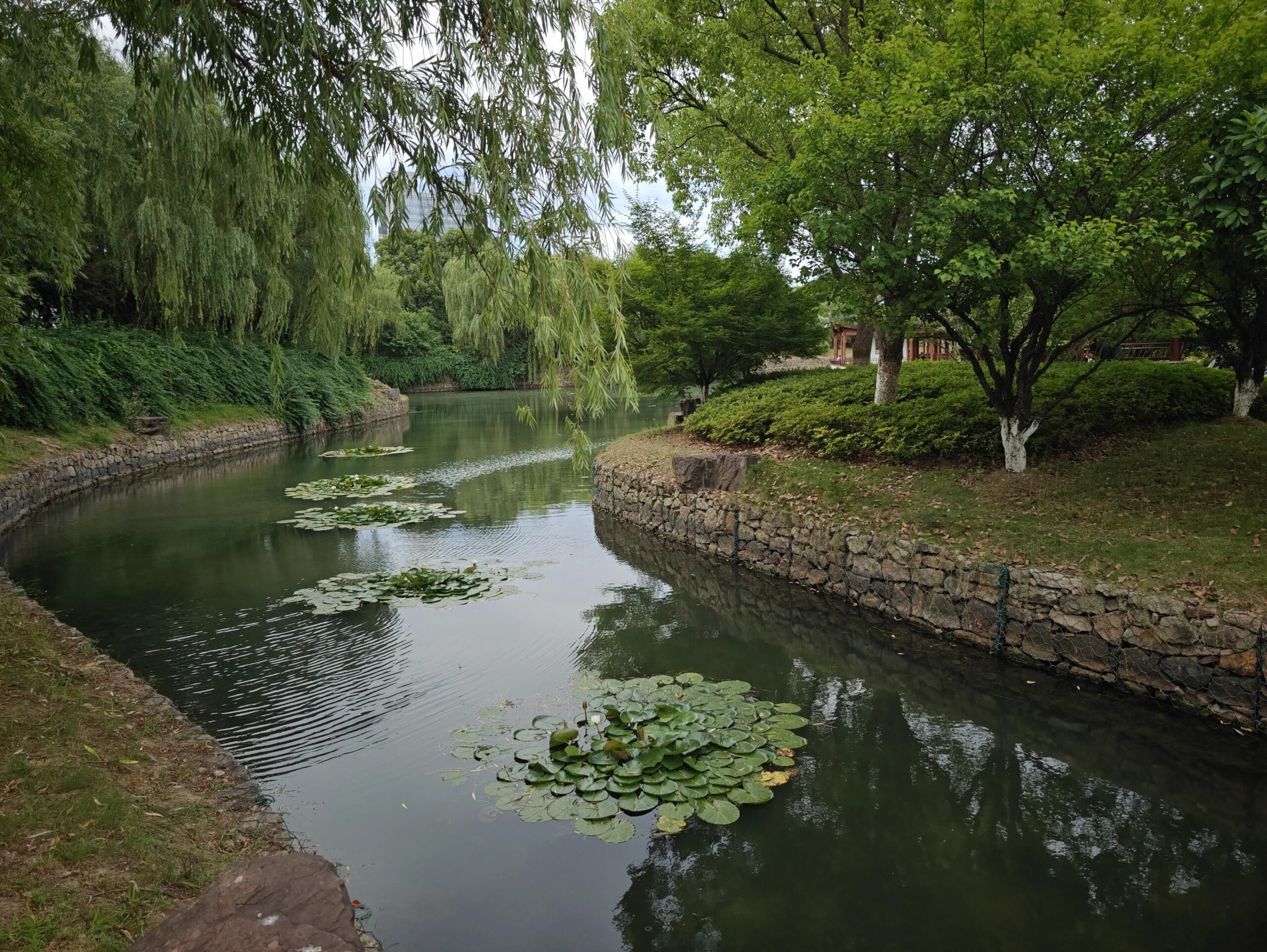 小茅山公园旅行图片 2