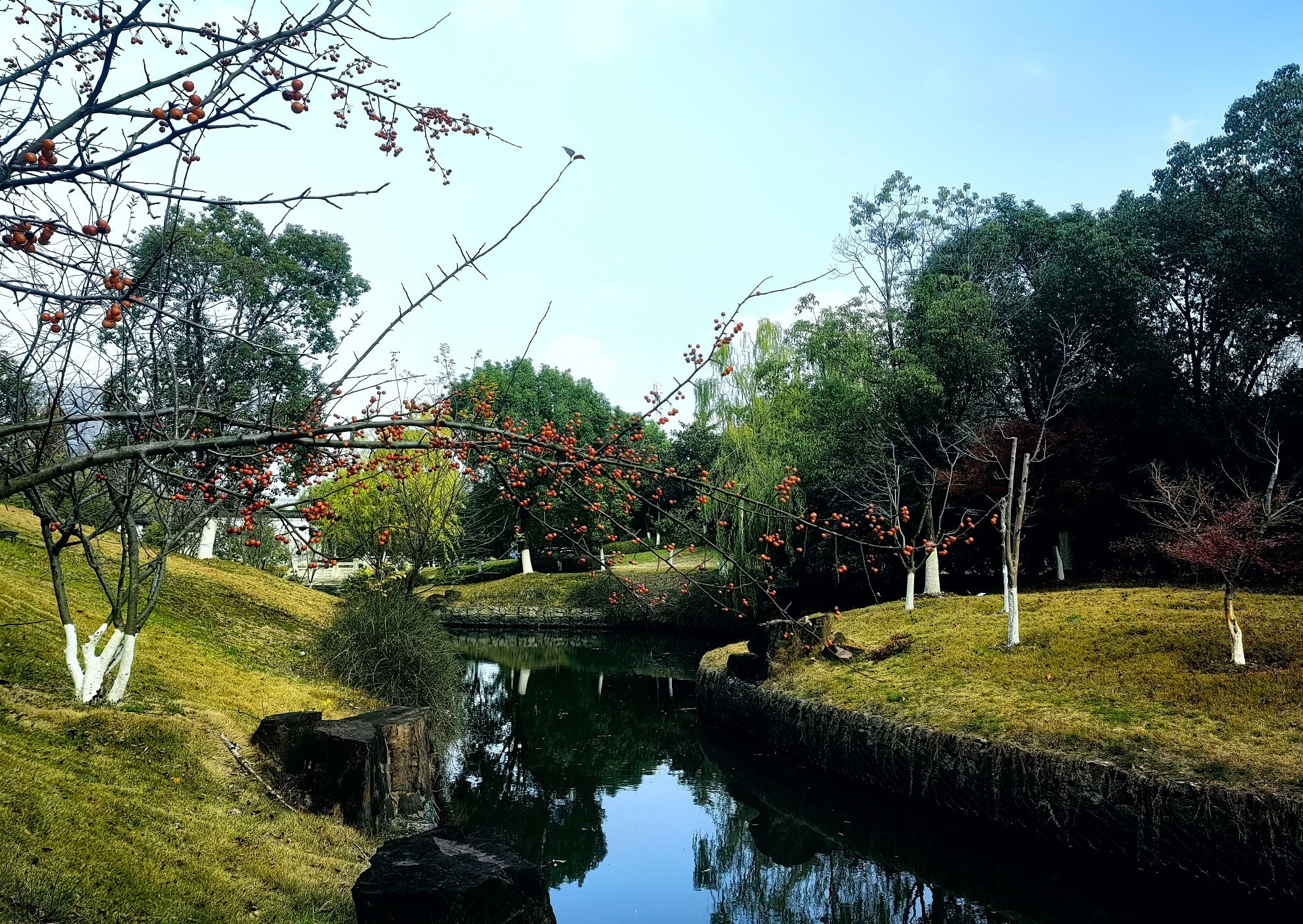 小茅山公园旅行图片 2