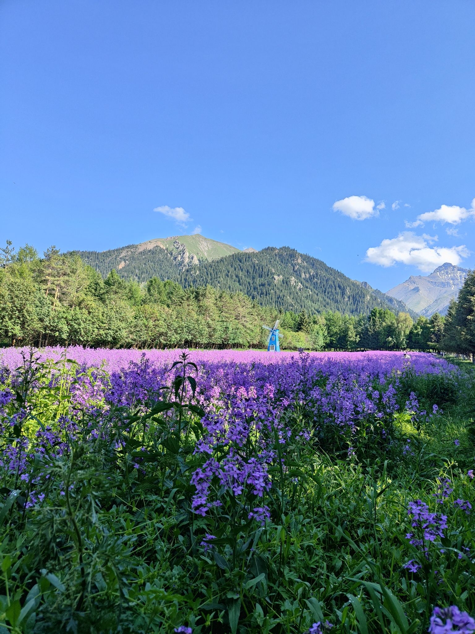 佛山公园待甫僧景区