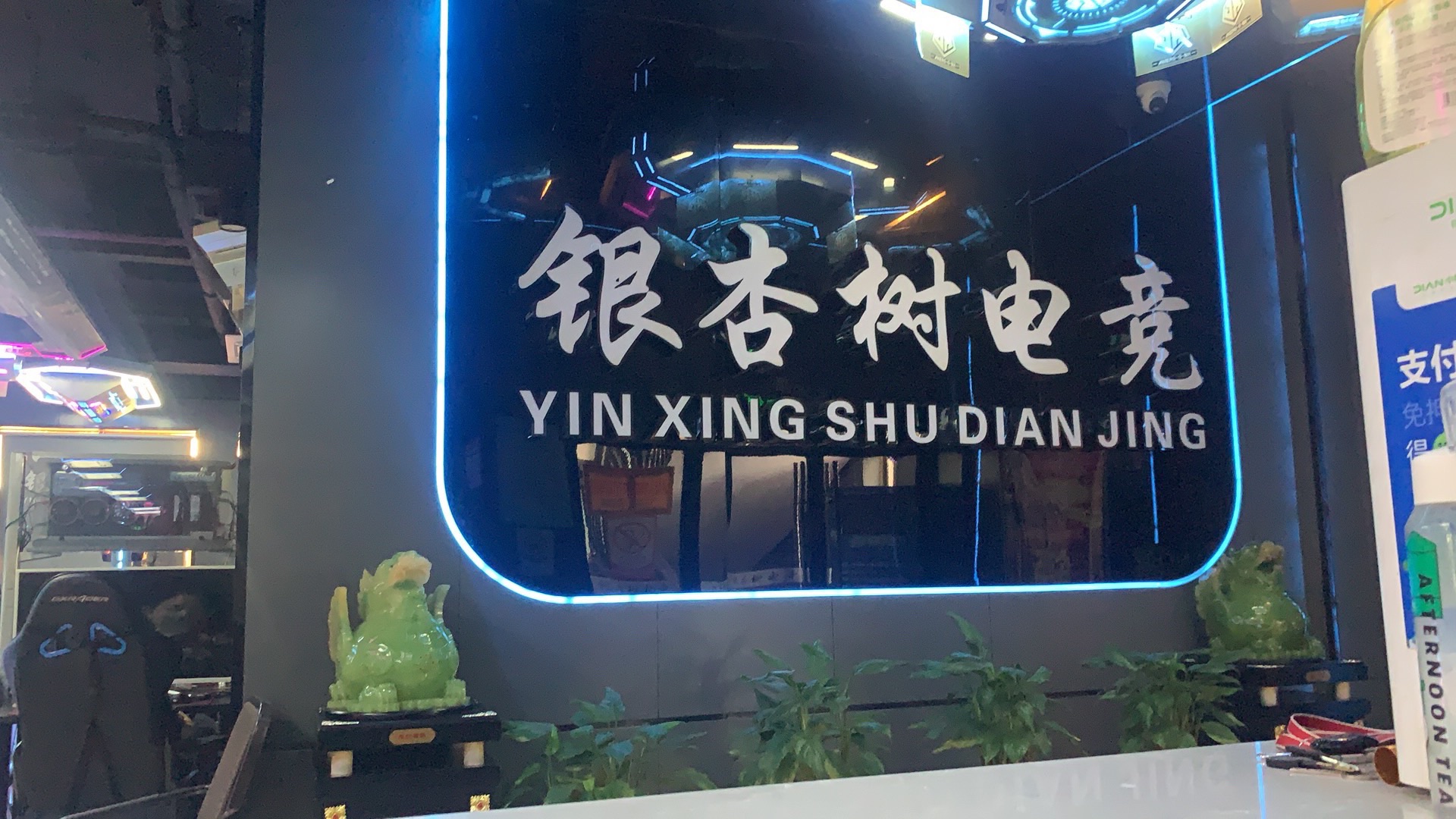 银杏树网络俱乐部