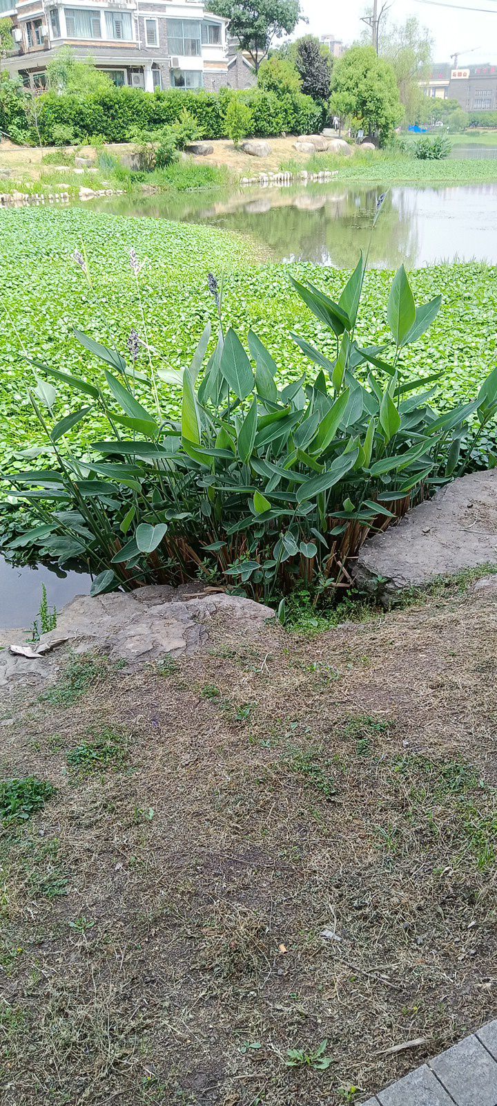 花果山公园旅行图片 1
