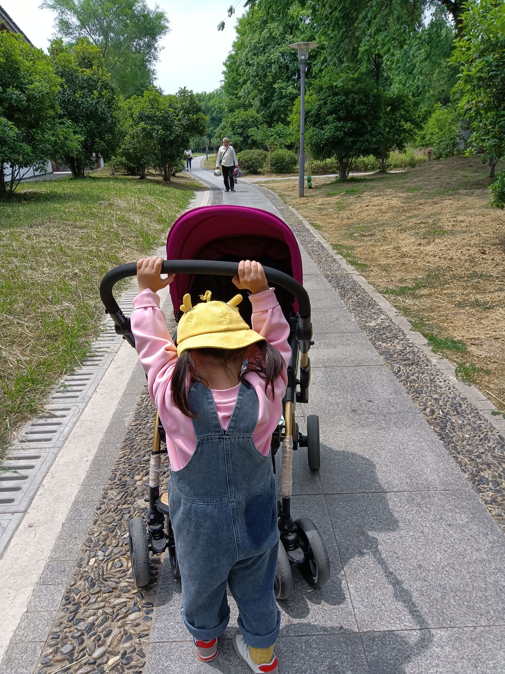 花果山公园旅行图片 2