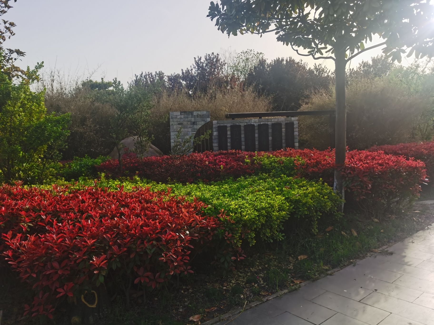 沈高森林公园旅行图片 3