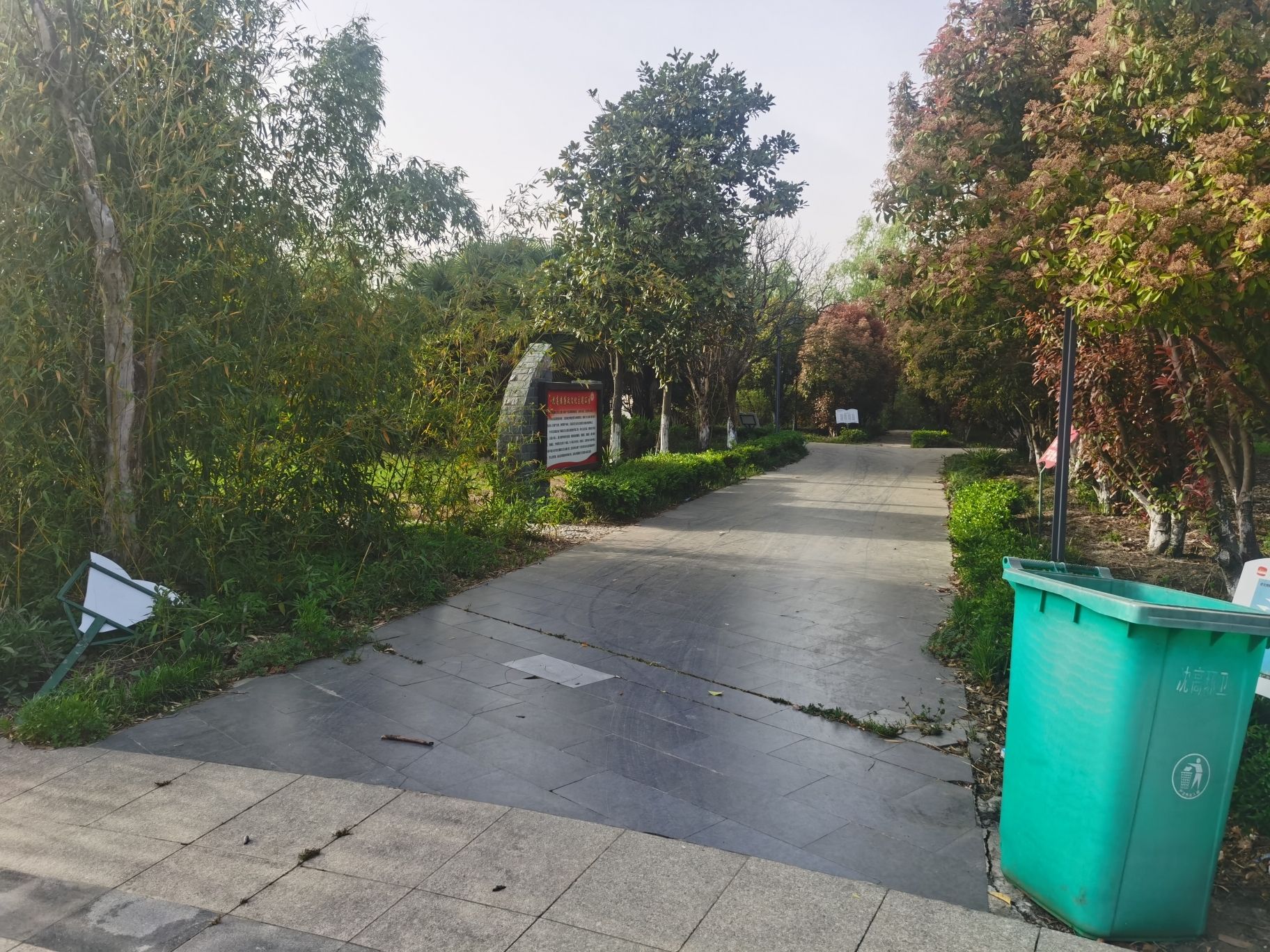 沈高森林公园旅行图片 2