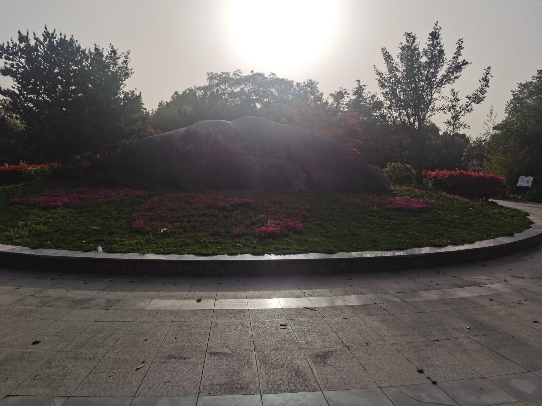 沈高森林公园旅行图片 1