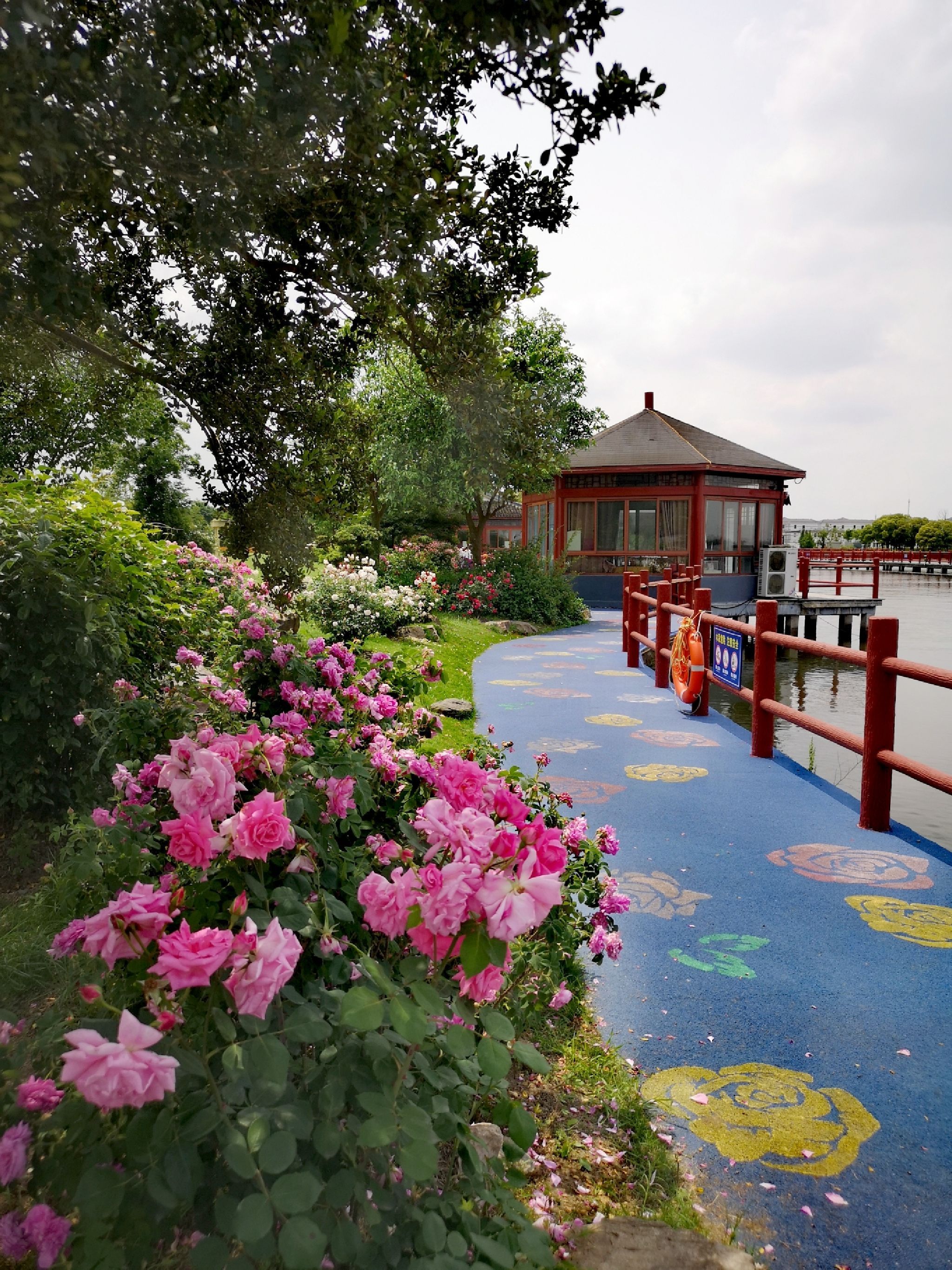 鹅湖玫瑰文化园旅行图片 2