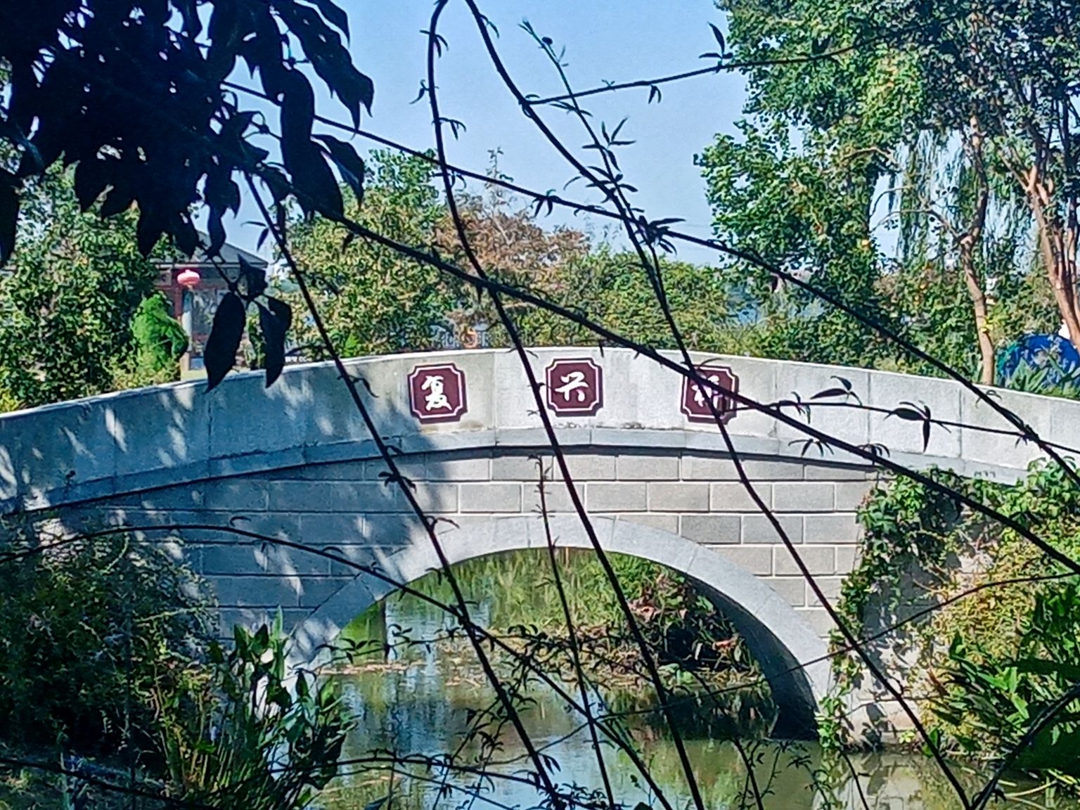 鹅湖玫瑰文化园旅行图片 3
