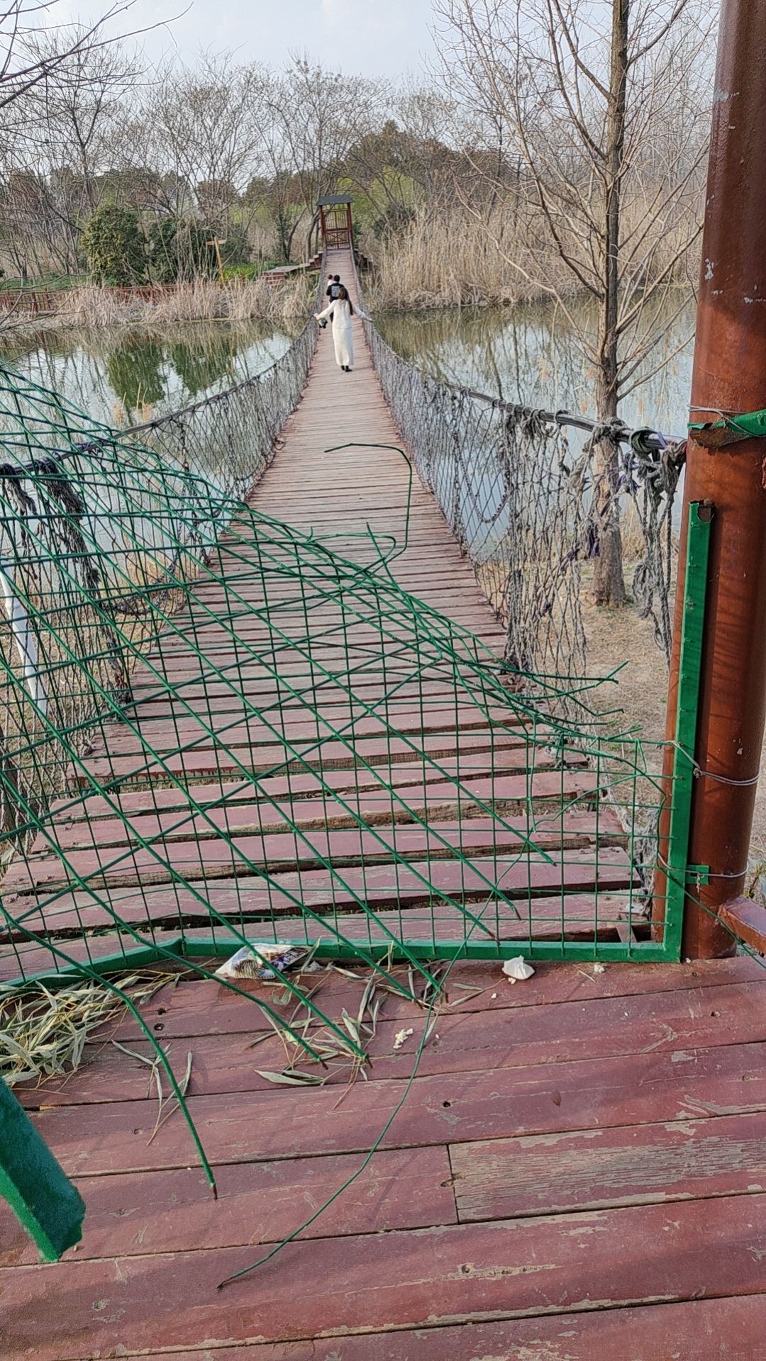 西淝河湿地公园旅行图片 3