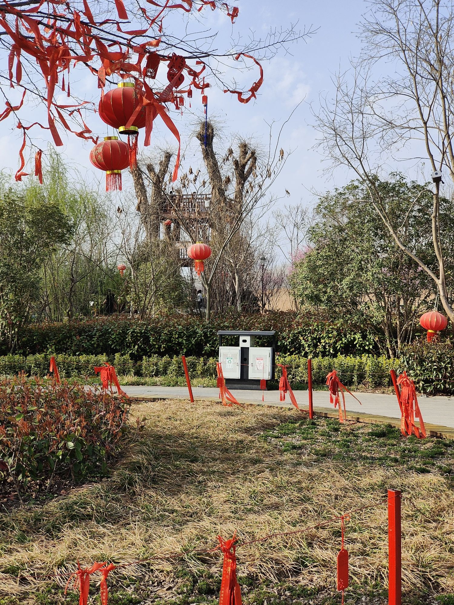 西淝河湿地公园旅行图片 2