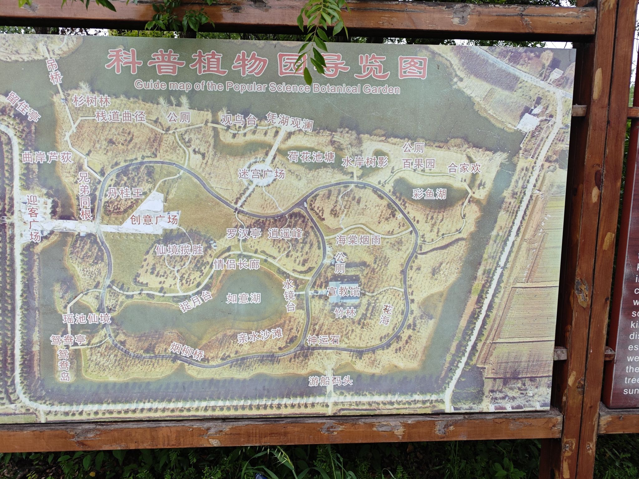 西淝河湿地公园旅行图片 2