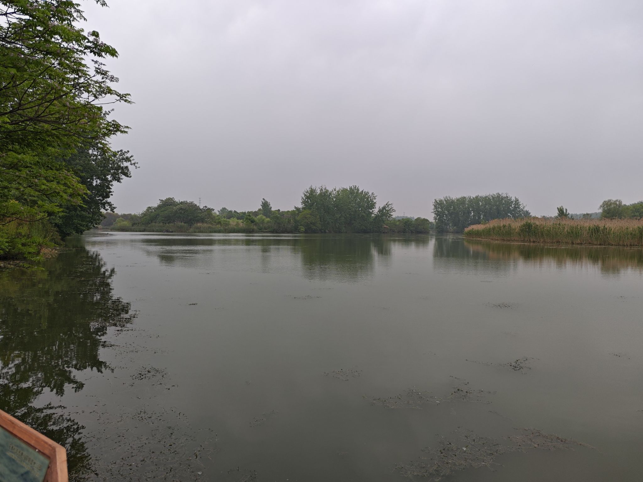 西淝河湿地公园旅行图片 3