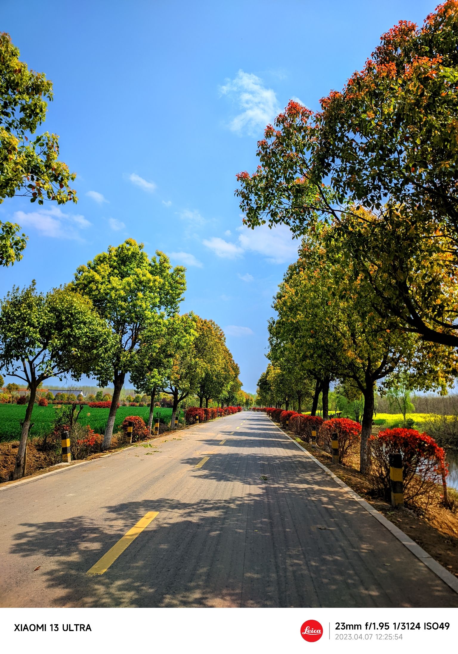 西淝河湿地公园旅行图片 1