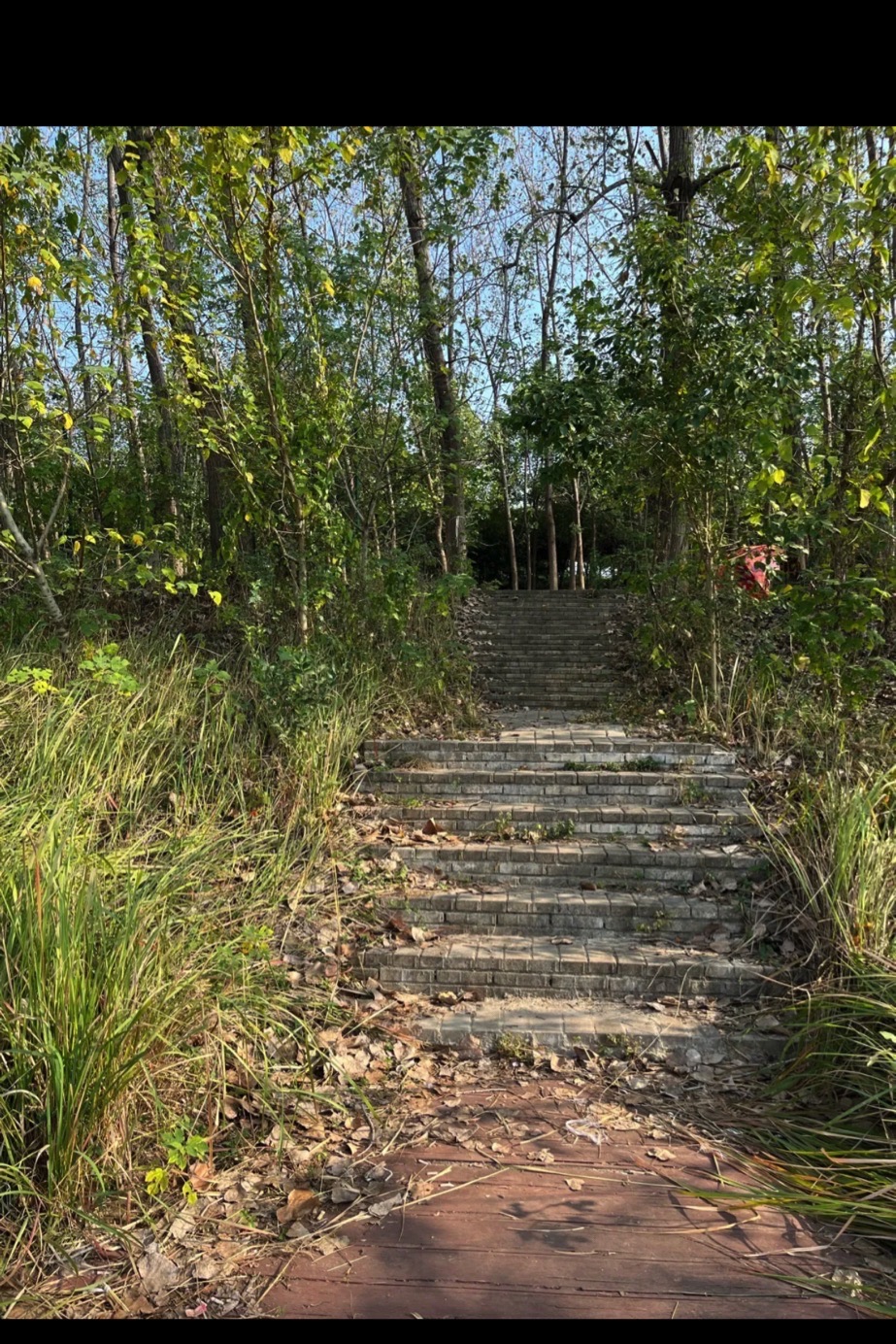 张公堤城市森林公园旅行图片 2