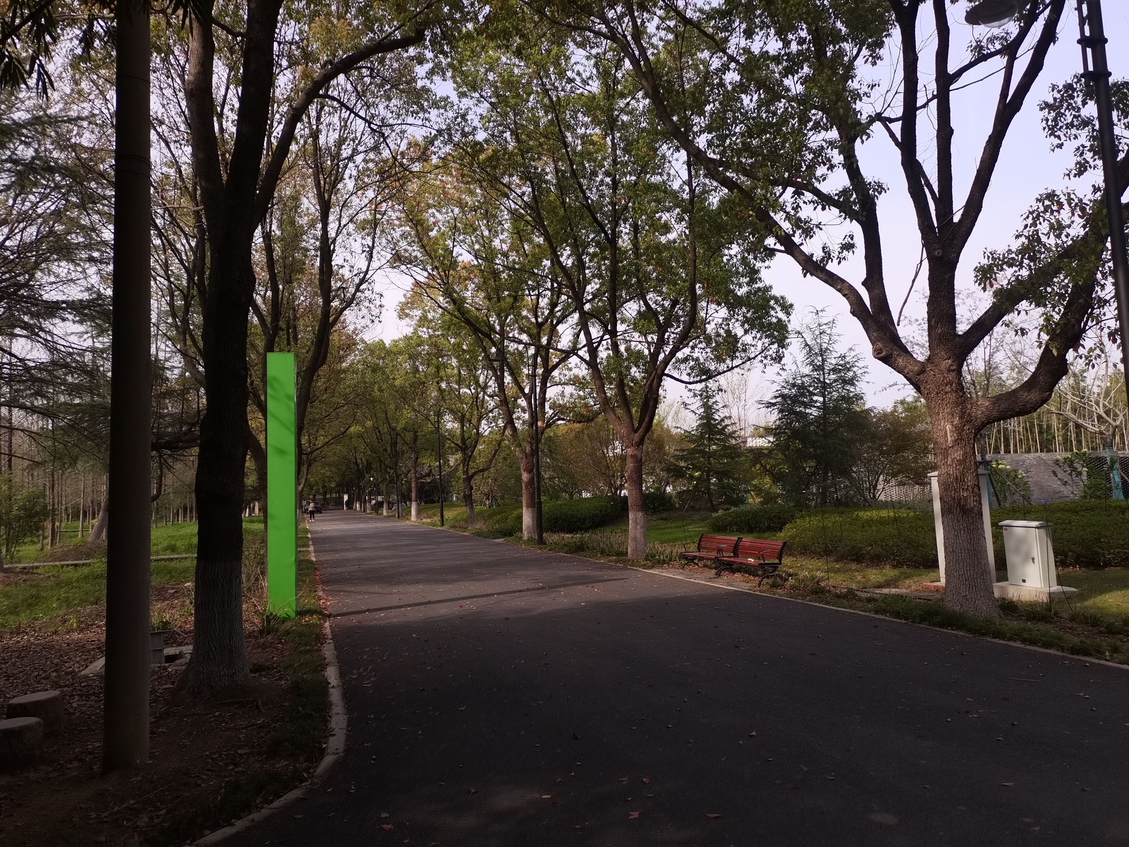 张公堤城市森林公园旅行图片 3
