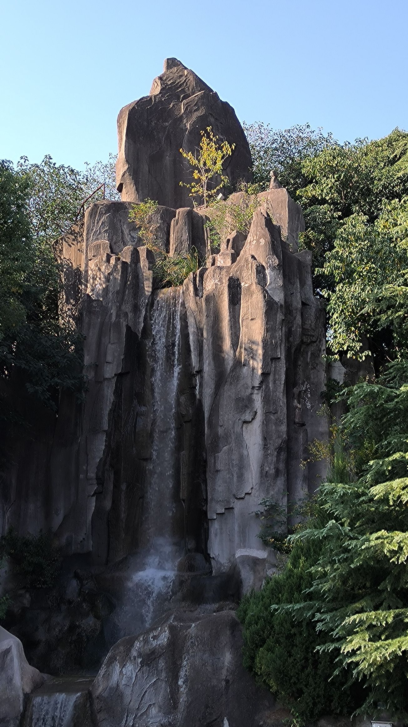 张公堤城市森林公园旅行图片 1