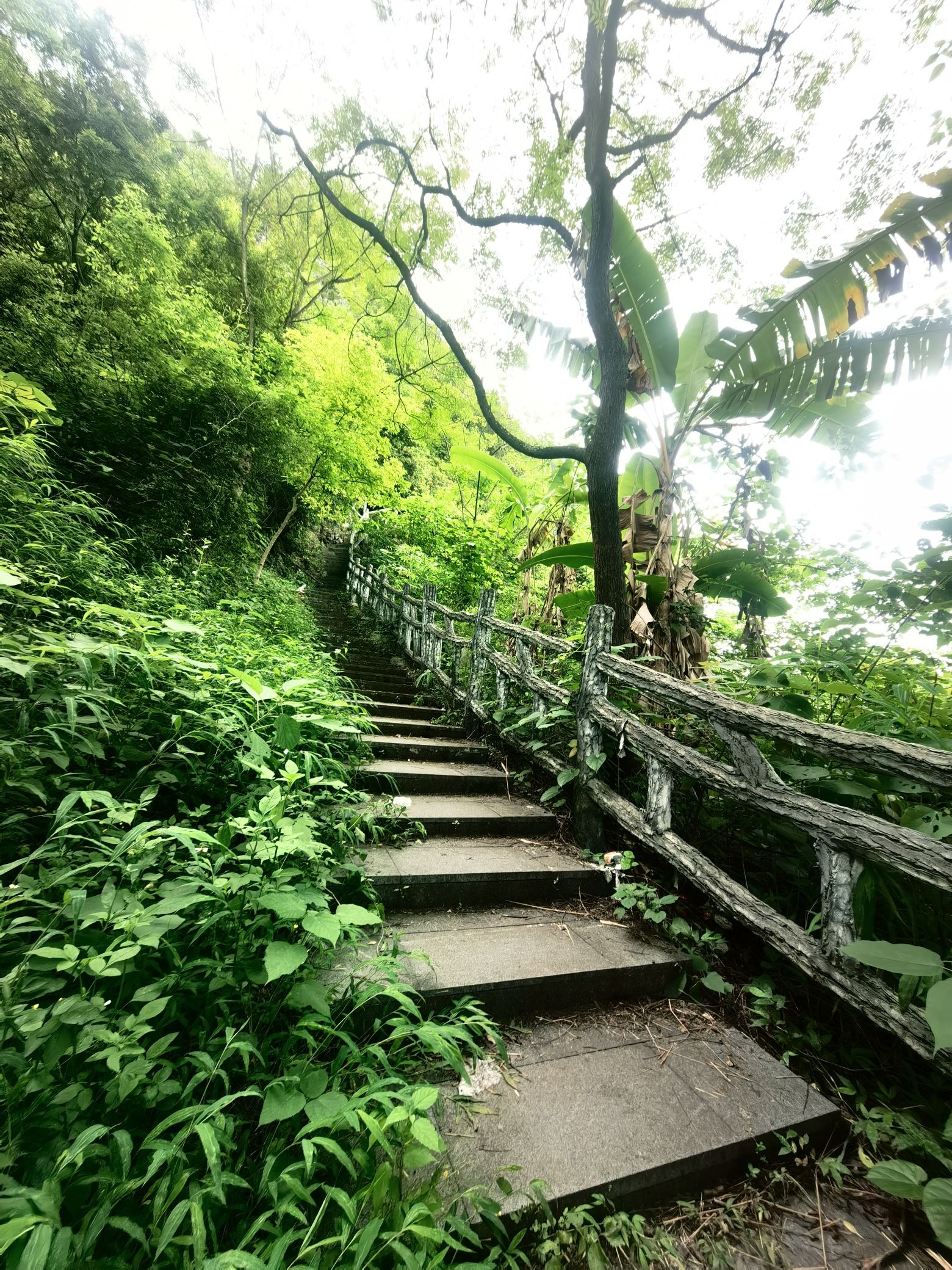 霞客古渡旅行图片 3
