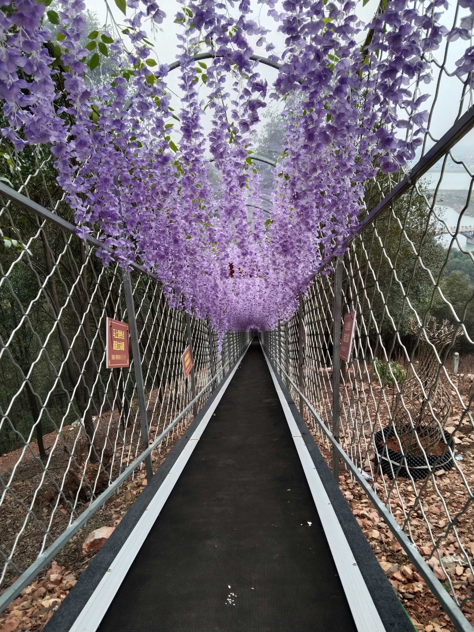 彭山景区旅行图片 3