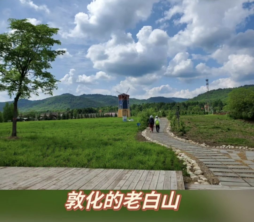 老白山原始生态景区(暂停开放)旅行图片 1