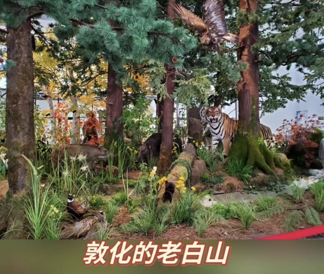 老白山原始生态景区(暂停开放)旅行图片 2