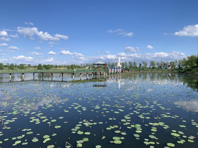 千鹤岛旅游风景区(暂停开放)旅行图片 3