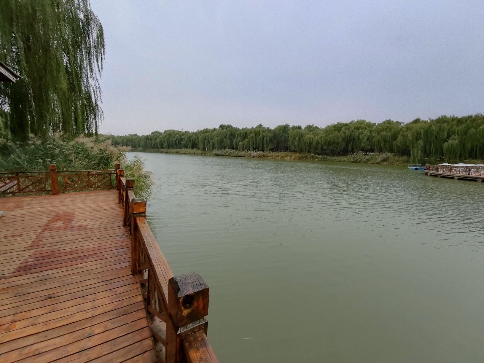 明月湖公园旅行图片 1