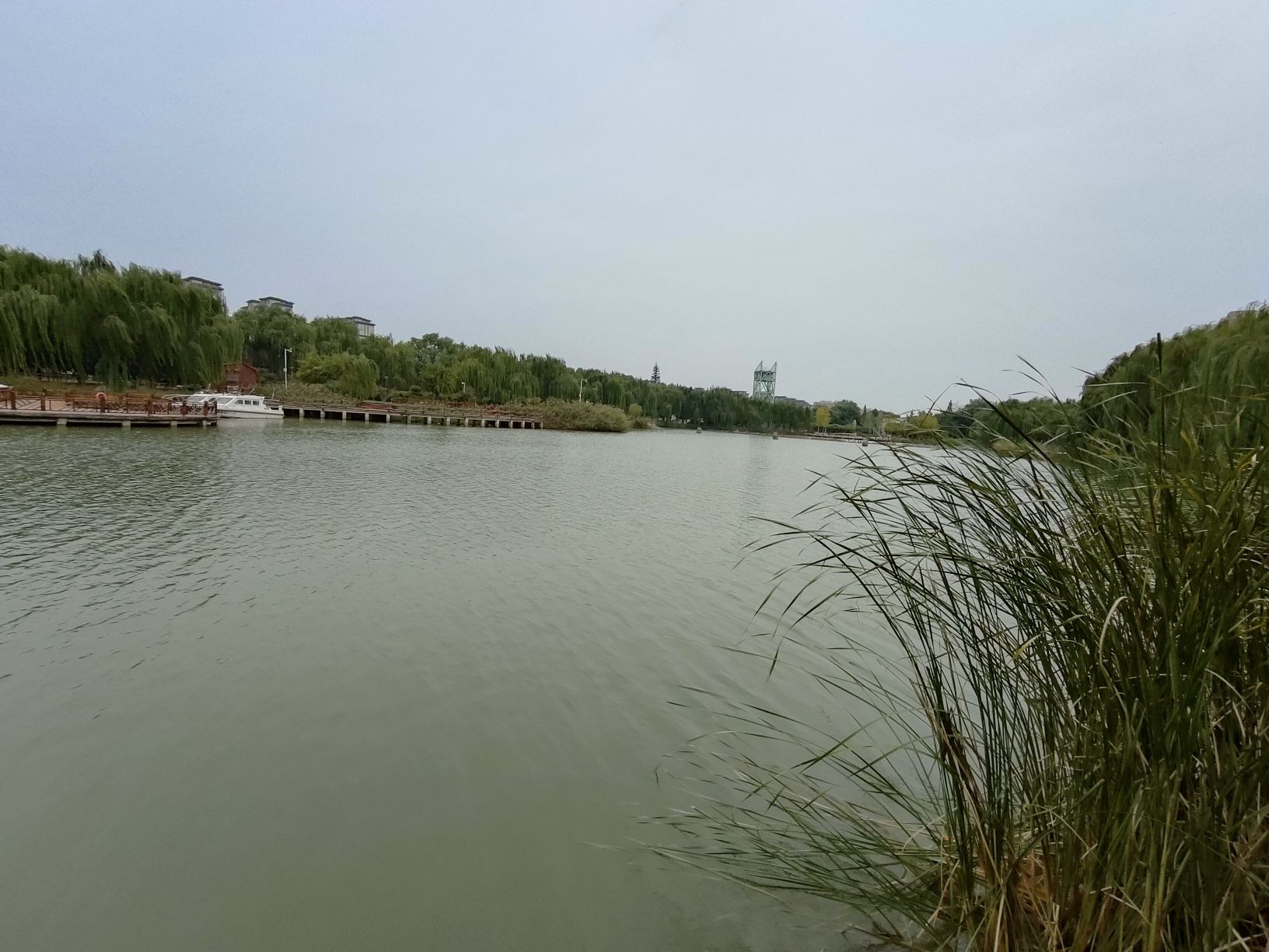 明月湖公园旅行图片 2