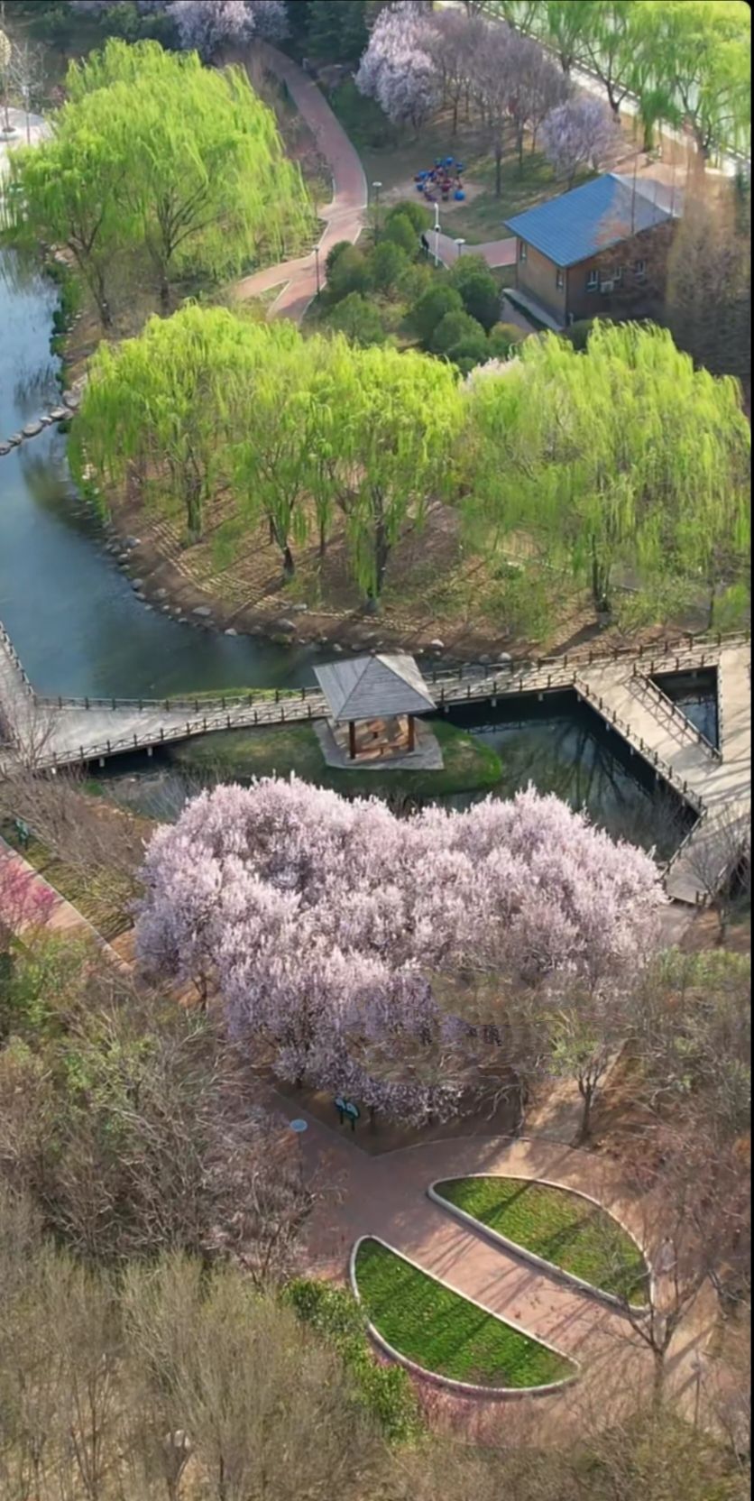 明月湖公园旅行图片 1
