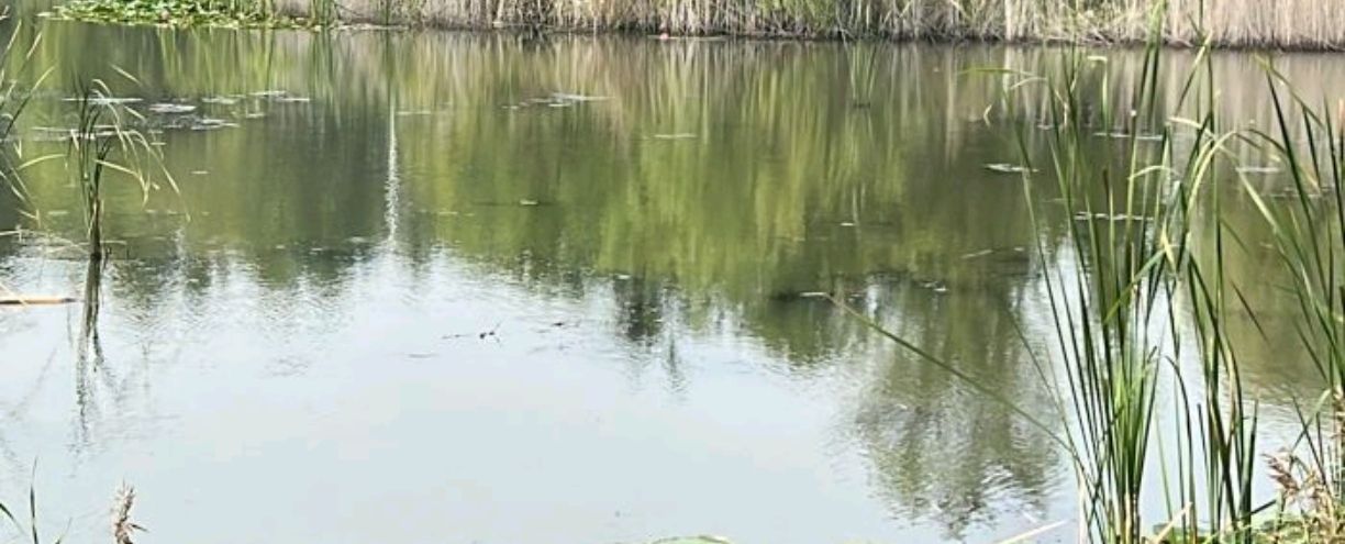 河滨公园旅行图片 3