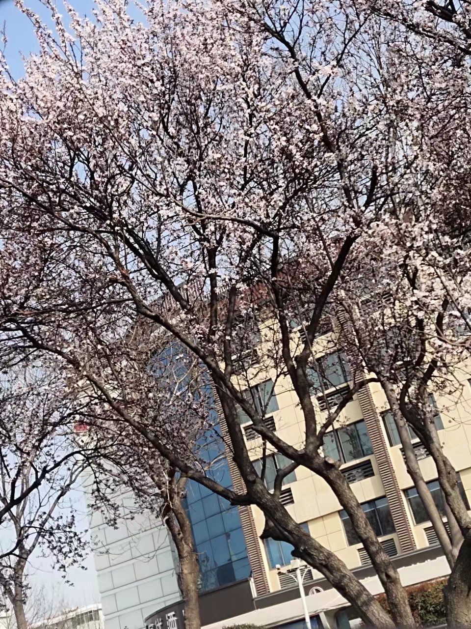 人民公园旅行图片 1