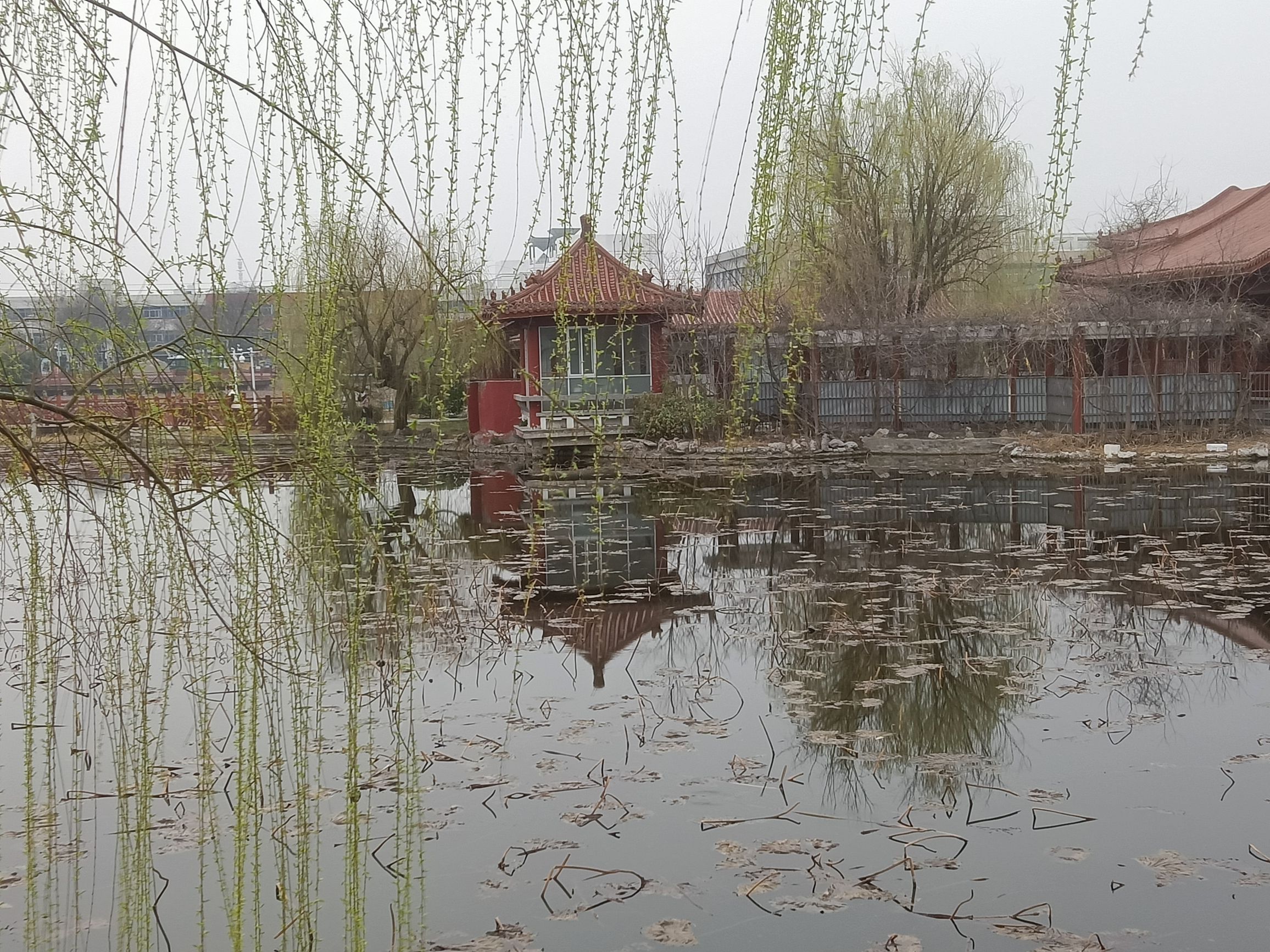 凤鸣园旅行图片 3