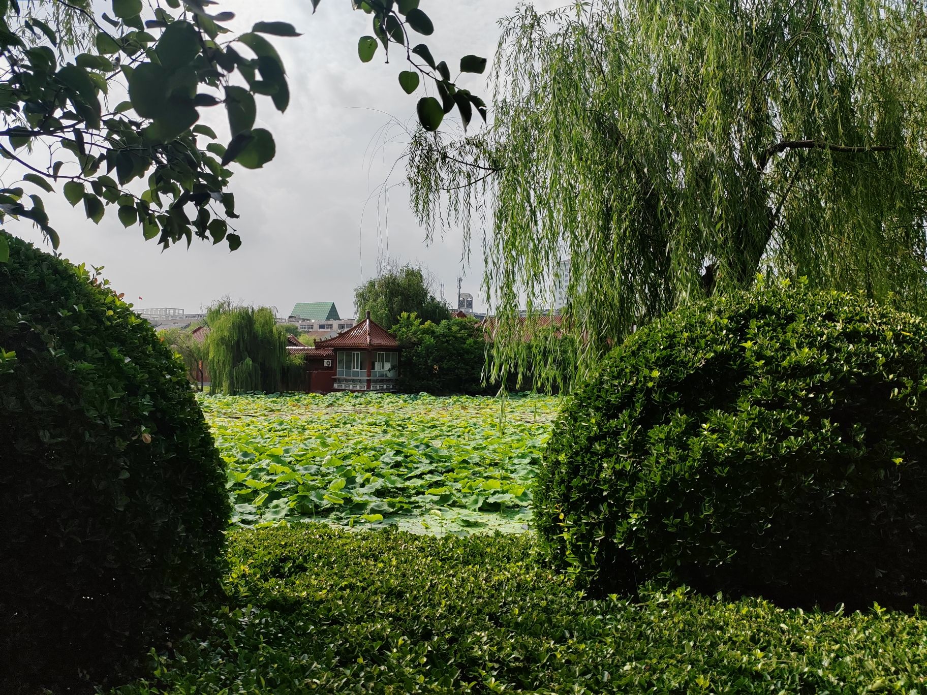 凤鸣园旅行图片 2