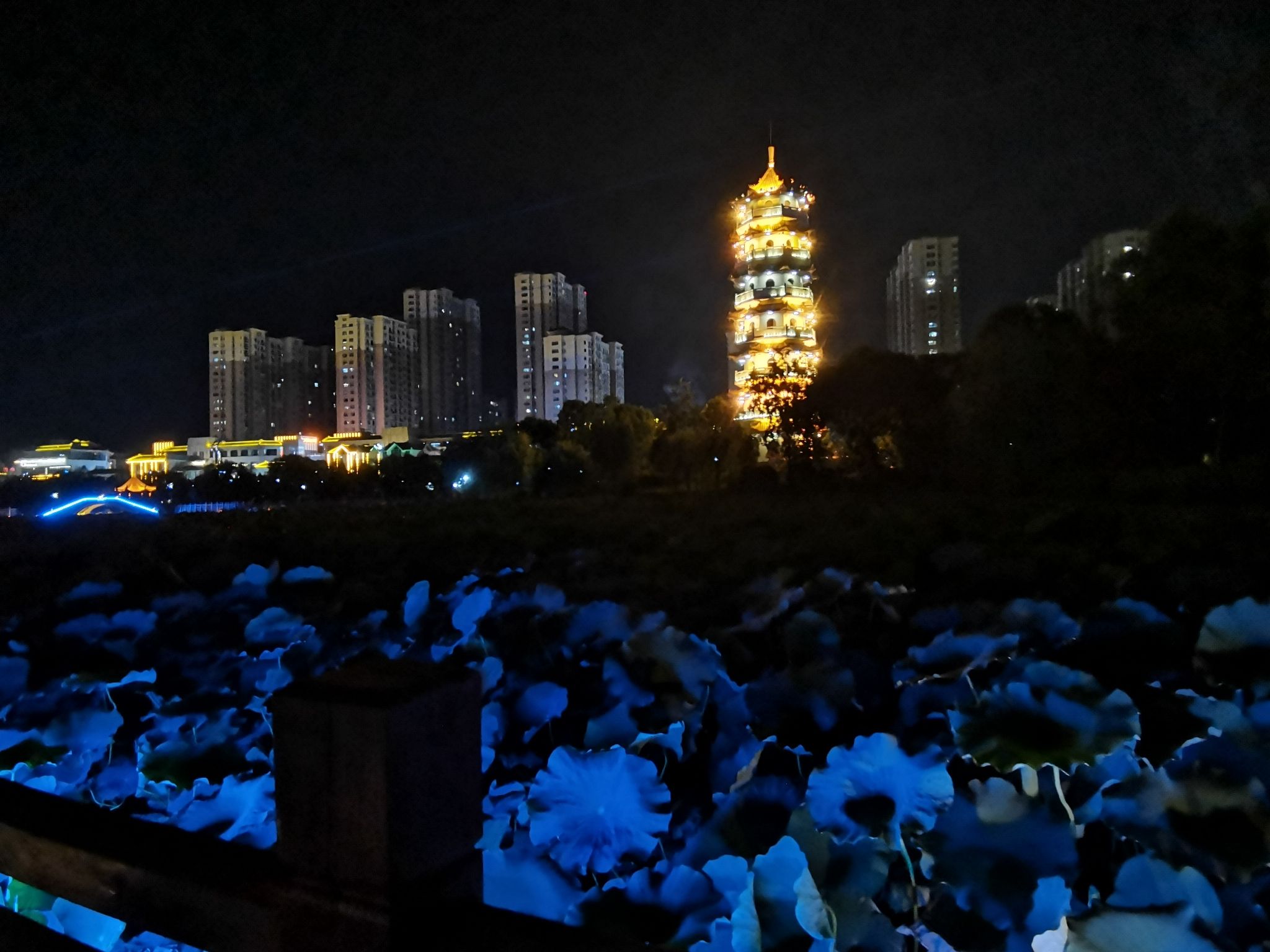 凤鸣园旅行图片 1